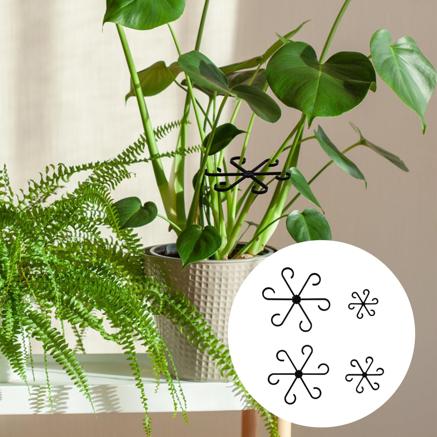 PEUTIER 4pcs Climbing Houseplant Stem Supports, Plastic Plant Climbers Stem Holders Reusable Plant Stem Hook Growth Accessories for Plant (black)