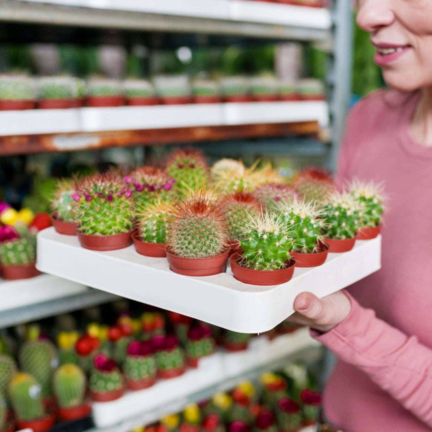 KINGLAKE 50Pcs Mini Plastic Plant Pots 5.4cm, Small Flower Pots Round Seed Nursery Pots for Seeds Seedling Vegetabels Herbs, Terracotta Color