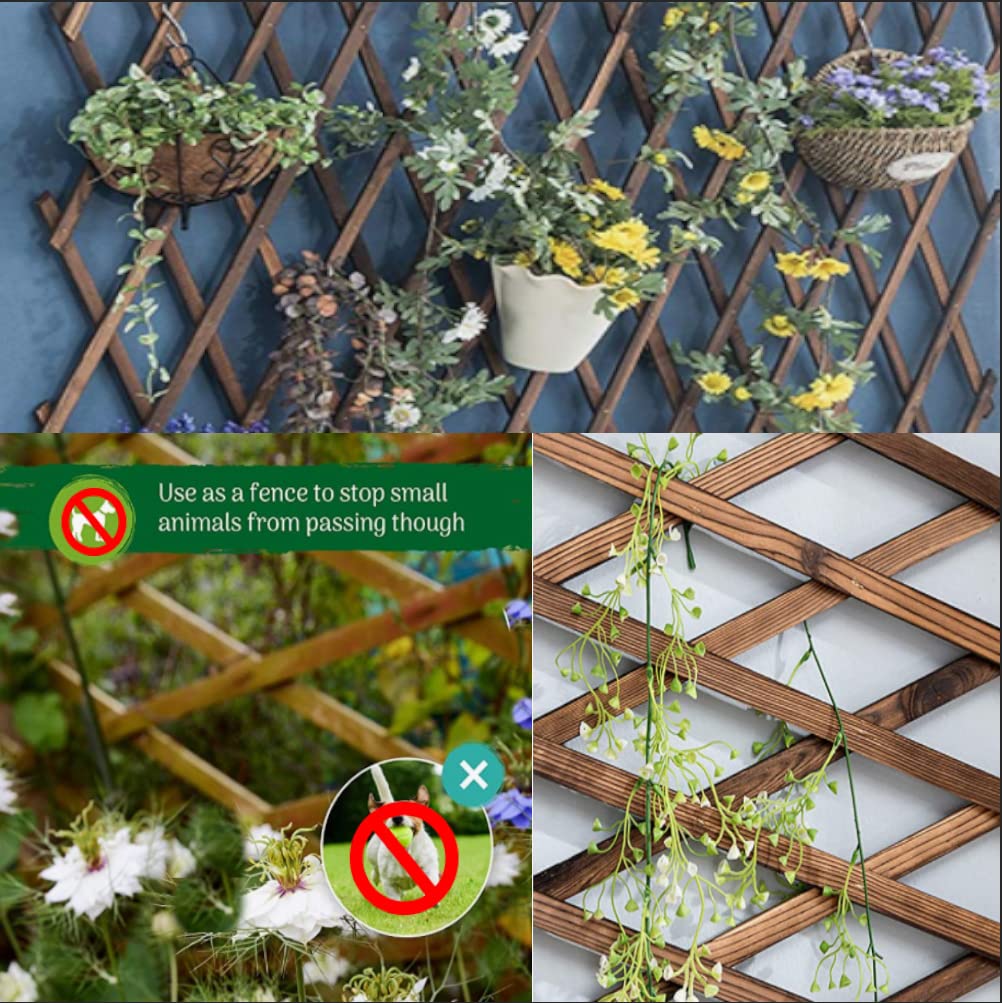 XIANTIAN Garden TrellisesExpandable Plant Climbing Lattices Trellis Fence Support 6.5ft × 1ft (0.7 × 200 × 30cm) 0.7cm thickness