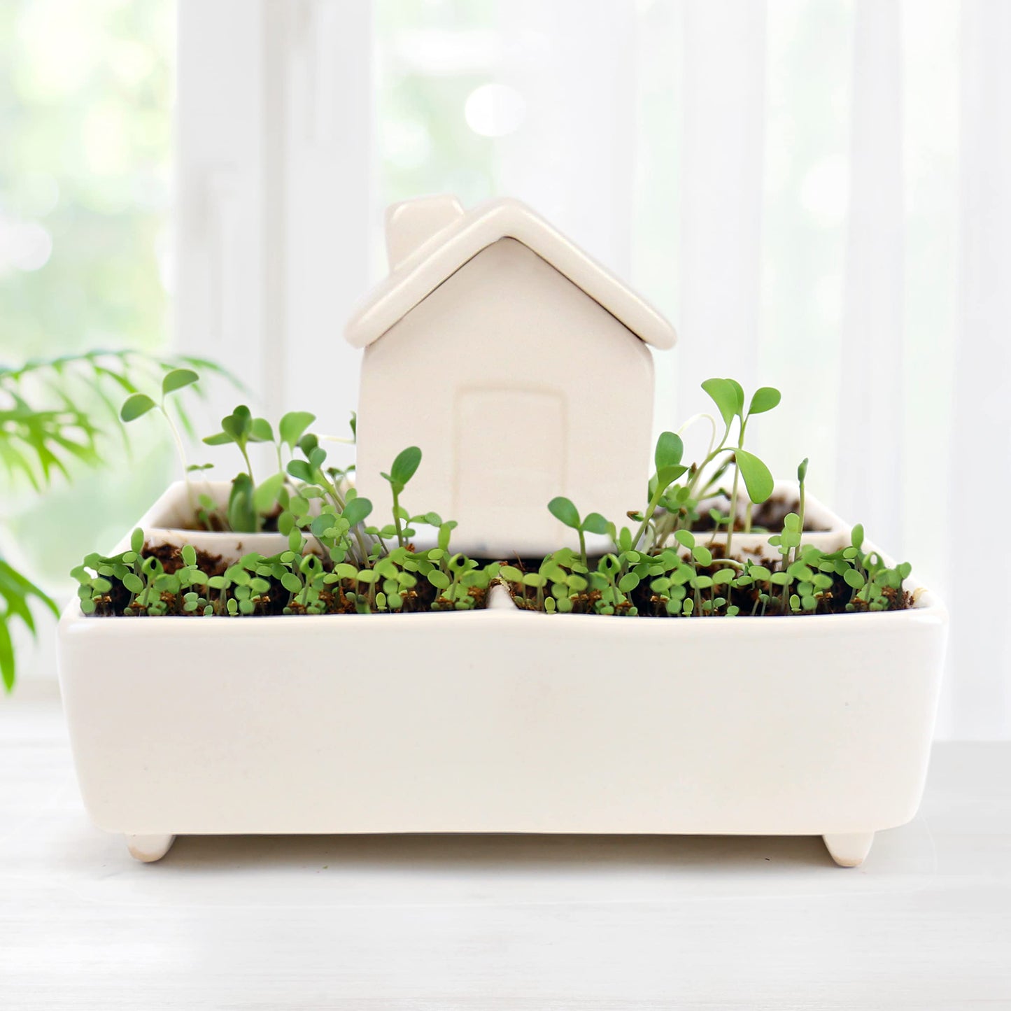 Gift Republic Self Watering House Herb Grow Kit Basil Rosemary Thyme Parsley Seeds Kitchen Garden Gift, White