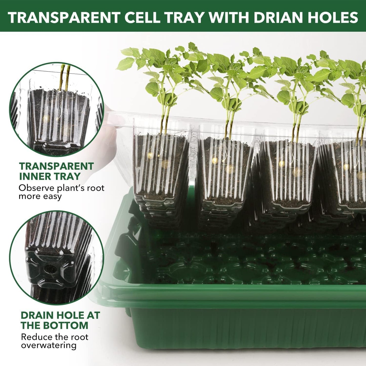YAUNGEL Seed Trays, Thicken Propagator XL Growing Seedling Starter Durable Growing Trays with Humidity Vented Domes and Base for Greenhouse & Gardens, 4 Pack 160 Cells, Green