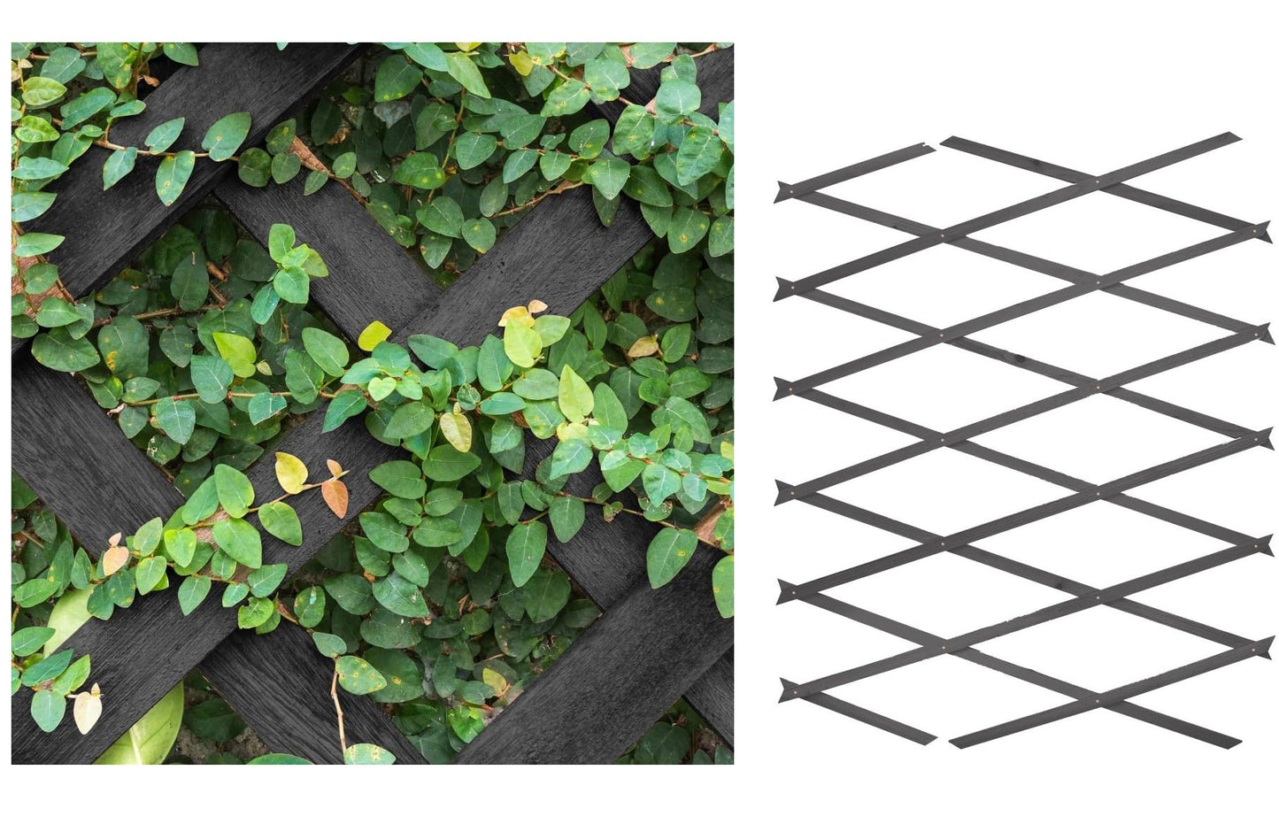 AQS INTERNATIONAL - Expanding Midnight Grey Wooden Trellis - Expandable Garden Trellises, Wall Plant Climbing, Wall Trellis Panel, Lattices Trellis Vine Crepe, Garden Fence Panel (90x180cm (3ftx6ft))