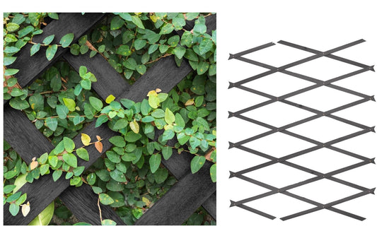 AQS INTERNATIONAL - Expanding Midnight Grey Wooden Trellis - Expandable Garden Trellises, Wall Plant Climbing, Wall Trellis Panel, Lattices Trellis Vine Crepe, Garden Fence Panel (90x180cm (3ftx6ft))