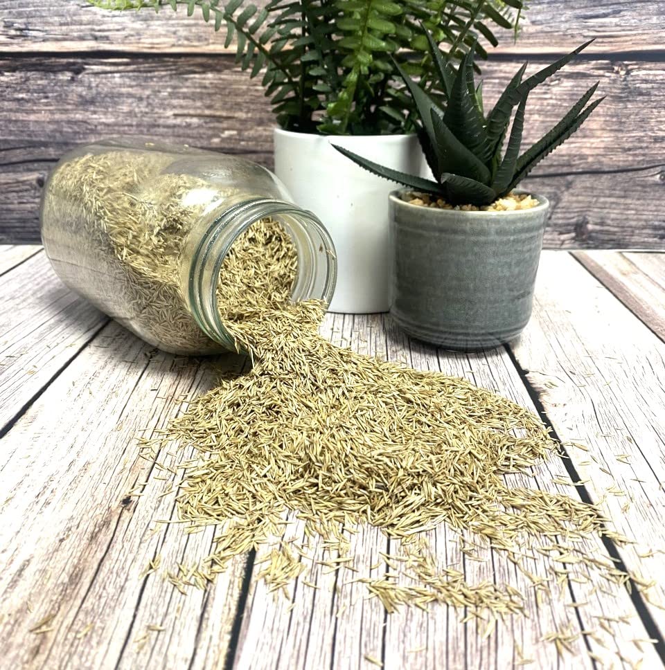 Back Lawn Grass Seed 2kg Hard Wearing (Covers 40 Square metres)