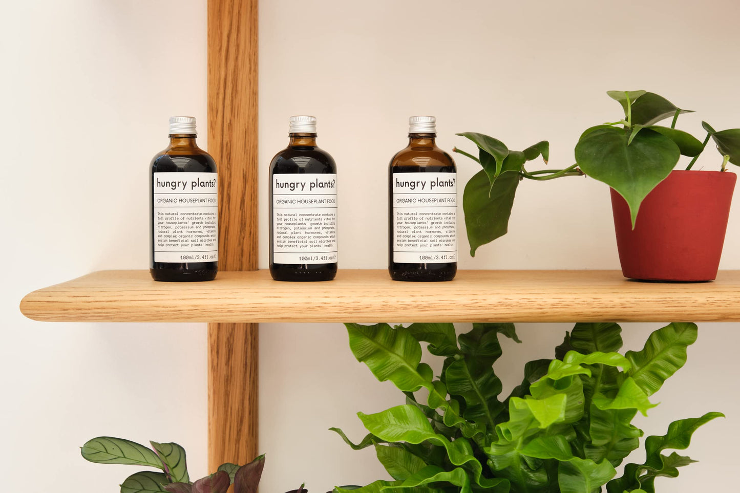 Hungry plants? | PREMIUM HOUSEPLANT FERTILISER | FULL PROFILE CONCENTRATE | ORGANIC | Houseplant Food - Seaweed Extract - Organic Components