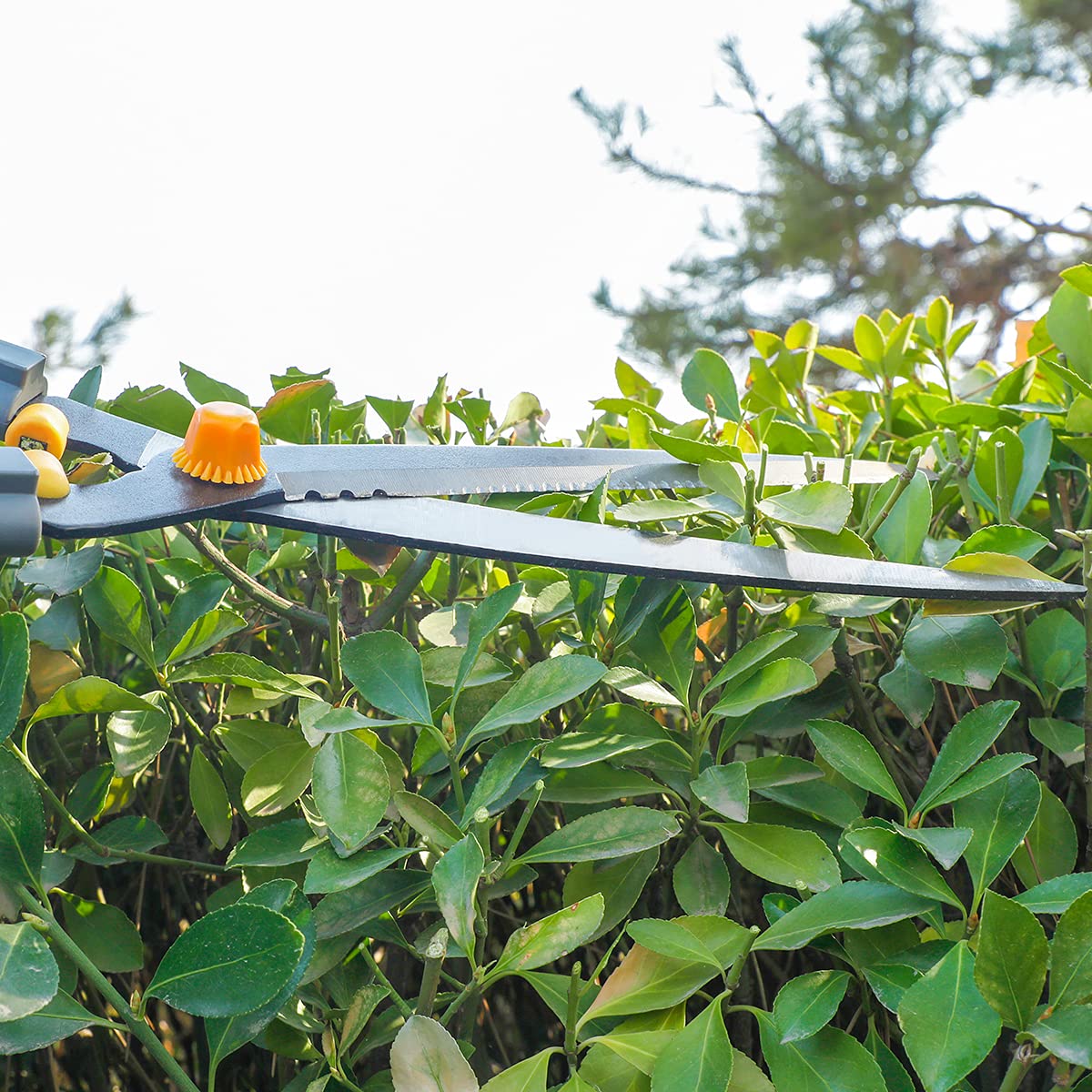 AIRAJ Lightweight Hedge Shears(600mm),with Ergonomic Lightweight Anti-Slip Handles and Razor-Sharp Blades,Professional Garden Shears for Hedges, Shrubs and Bushes - Easy Cutting and Trimming