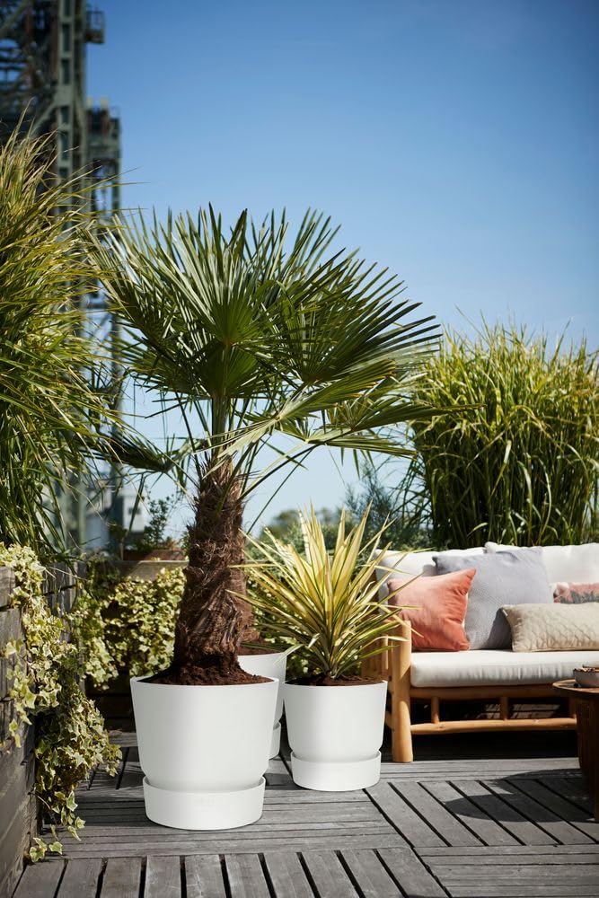elho Greenville Round 30 - Large Flower Pot with Integrated Water Reservoir - Indoor & Outdoor - 100% Recycled Plastic - Ø 29.5 x H 27.8 cm - White/White