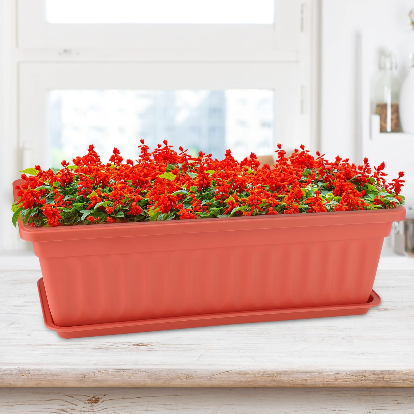 ZOENHOU 6 Pack 43cm Flower Window Box, 17 Inch Rectangular Plastic Window Box Planter with Trays and 30 Green Labels for Windowsill, Patio, Garden, Home Décor, Porch