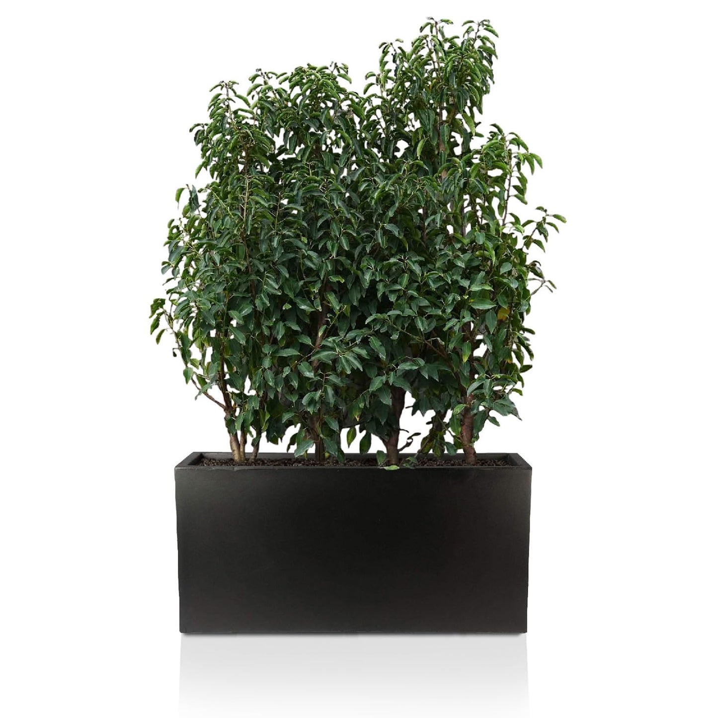 IDEALIST 85cm Large Trough | Black Reinforced Stone Rectangle Plant Pot | Garden Planters with Drainage Holes L85 W26 H41 cm, 60 litres