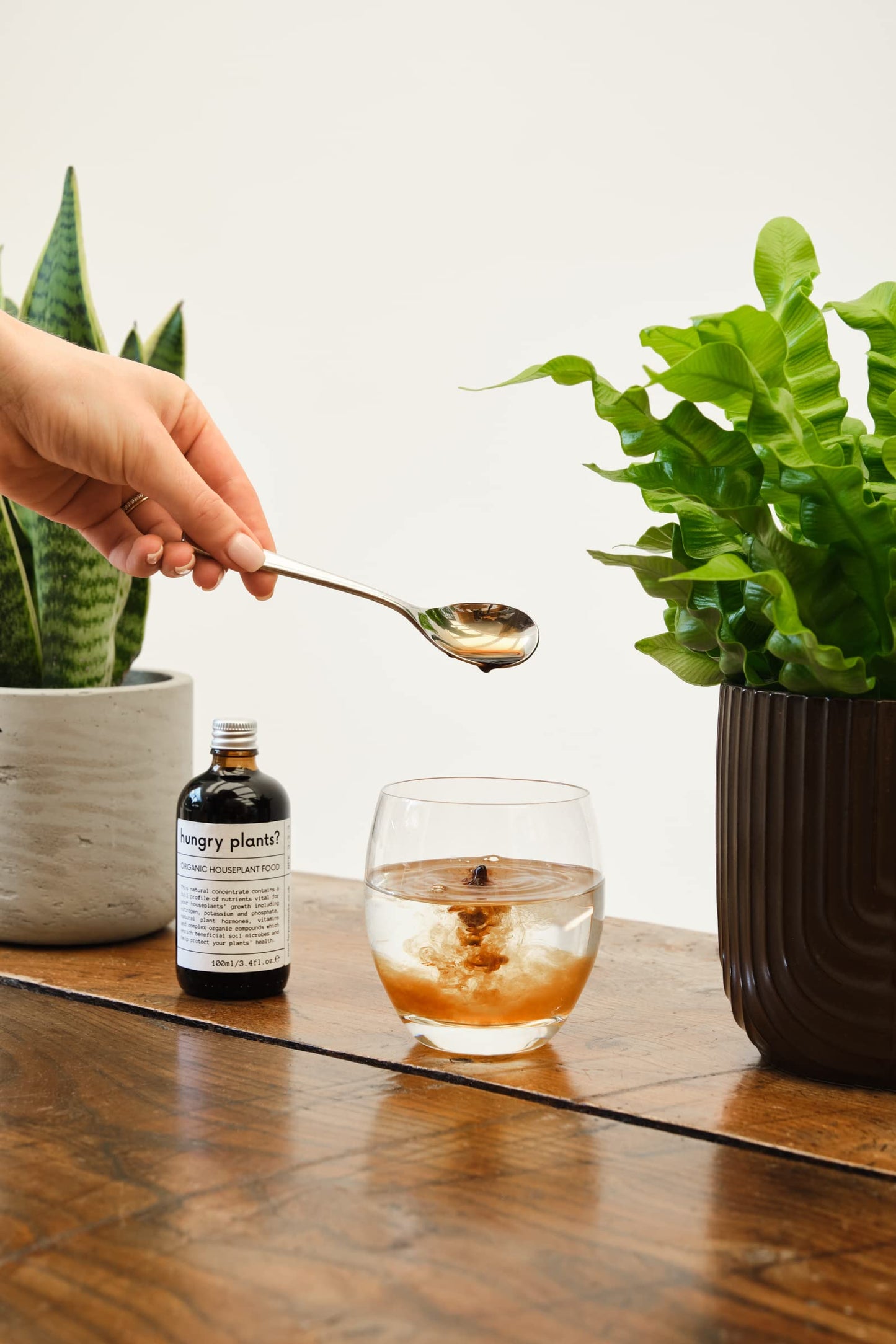 Hungry plants? | PREMIUM HOUSEPLANT FERTILISER | FULL PROFILE CONCENTRATE | ORGANIC | Houseplant Food - Seaweed Extract - Organic Components