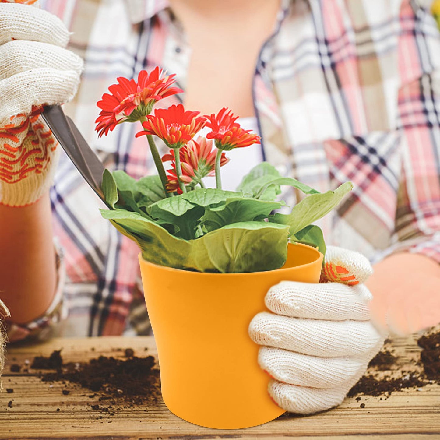 WAIZHIUA 8Pcs 14cm Plant Flower Pots Colorful Plastic Plant Pots Indoor Flower Pots Plant Container Planters with Trays for Office House Succulent Fruit Vegetable Seedlings Transplanting, 8 Colors