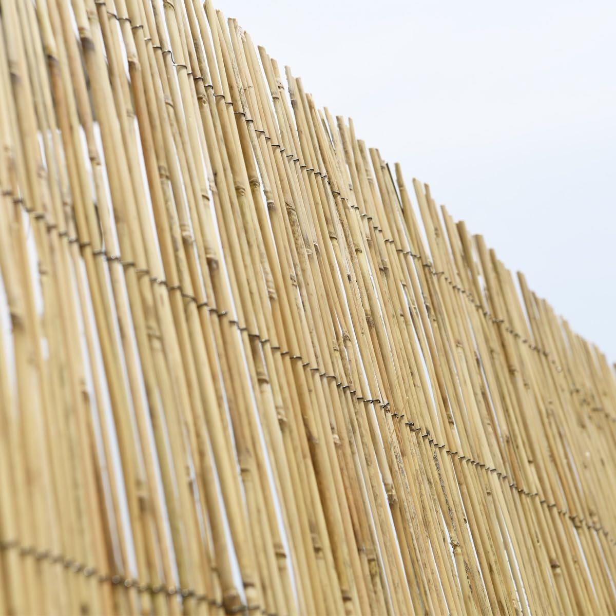 Wadan Natural Split Reed Fence Hand-Woven Reed Screening for Garden Natural Window Roller Blind Outdoor Bamboo Shades for Garden Patio Gallery Balcony Decorative Fences (1m x 3m)