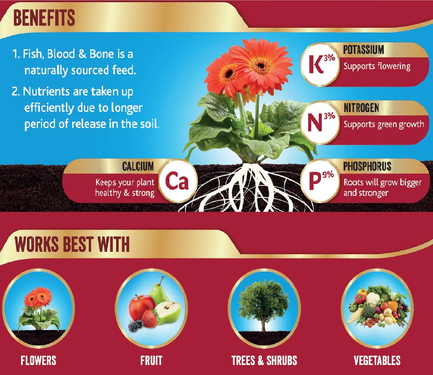 Westland 20600010 Fish, Blood and Bone All Purpose Plant Food, 1.5 kg