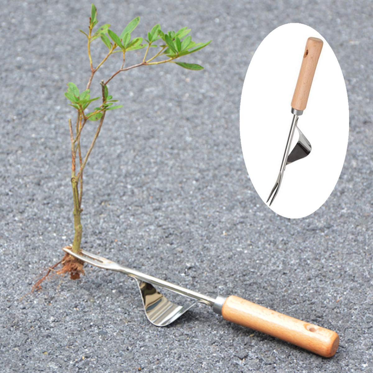 Garden Weeder Hand Weeder Fork Tool Weed Puller Removal Stainless Steel Manual Digging Dandelion Remover Tool Lawn Farmland Transplant Tool with Smooth Wood Handle