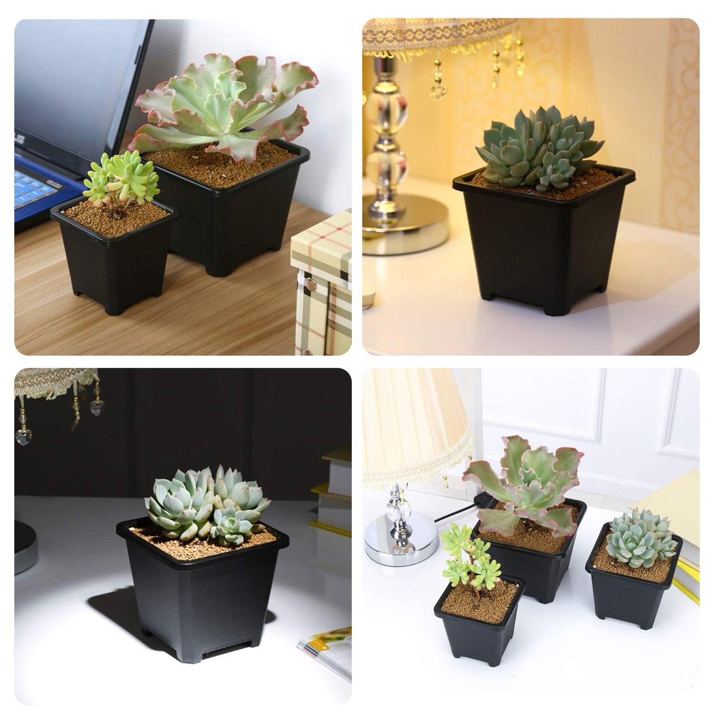 GGOUPTY Plastic Square Plant Pots 7cm 50 Pcs Succulent Planter Nursery Pots for Flower Staring Seedling