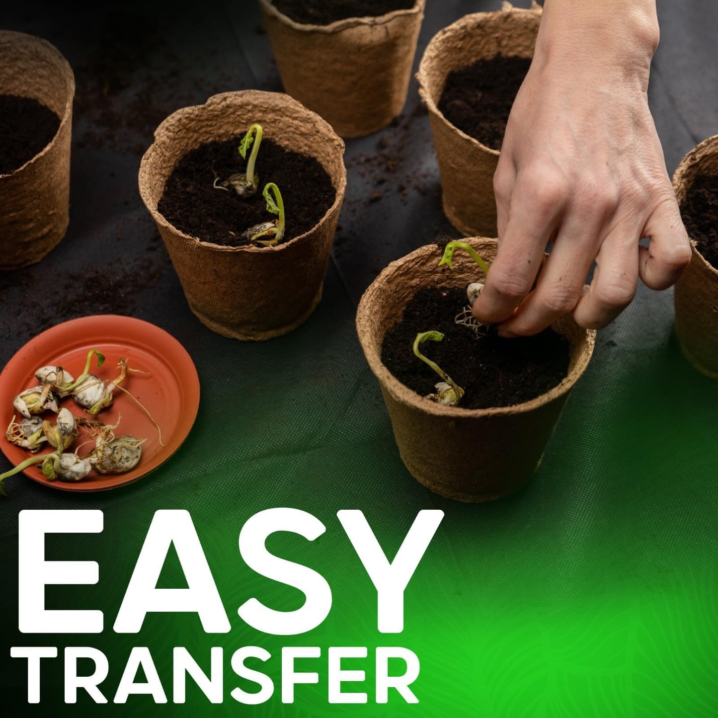 ZYBUX 96 piece Round Fibre Pots for Garden - 6 cm Wide Biodegradable Small Plant Pots for Seedling - Cultivation Gardening Seeding Cups Containers - Nursery Pots