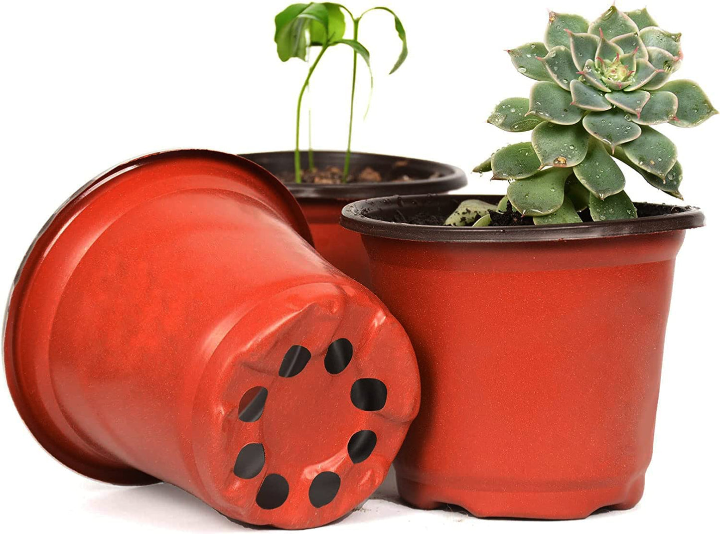 Atoke 50 Pack Thick Plastic Plant Pots,10cm Seed Starting Pot Flower Pot Plant Container for Seedlings,Vegetables,Succulents,Brown