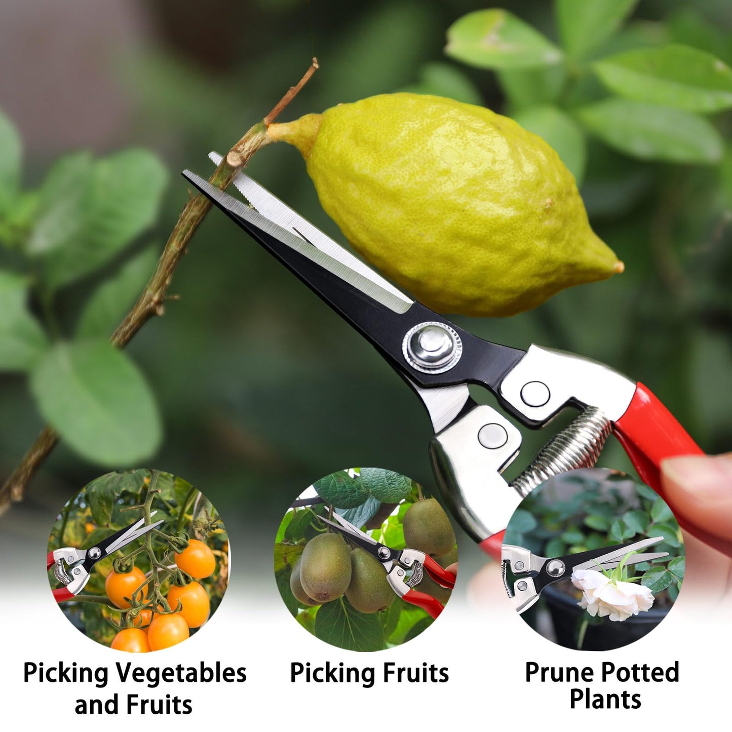 Kynup Garden Secateurs, 3 Pack Professional Secateurs Kit with Garden Gloves, Stainless Steel Sharp Pruner, Pruning Hand Tools Scissors Kit, Trimming Tool