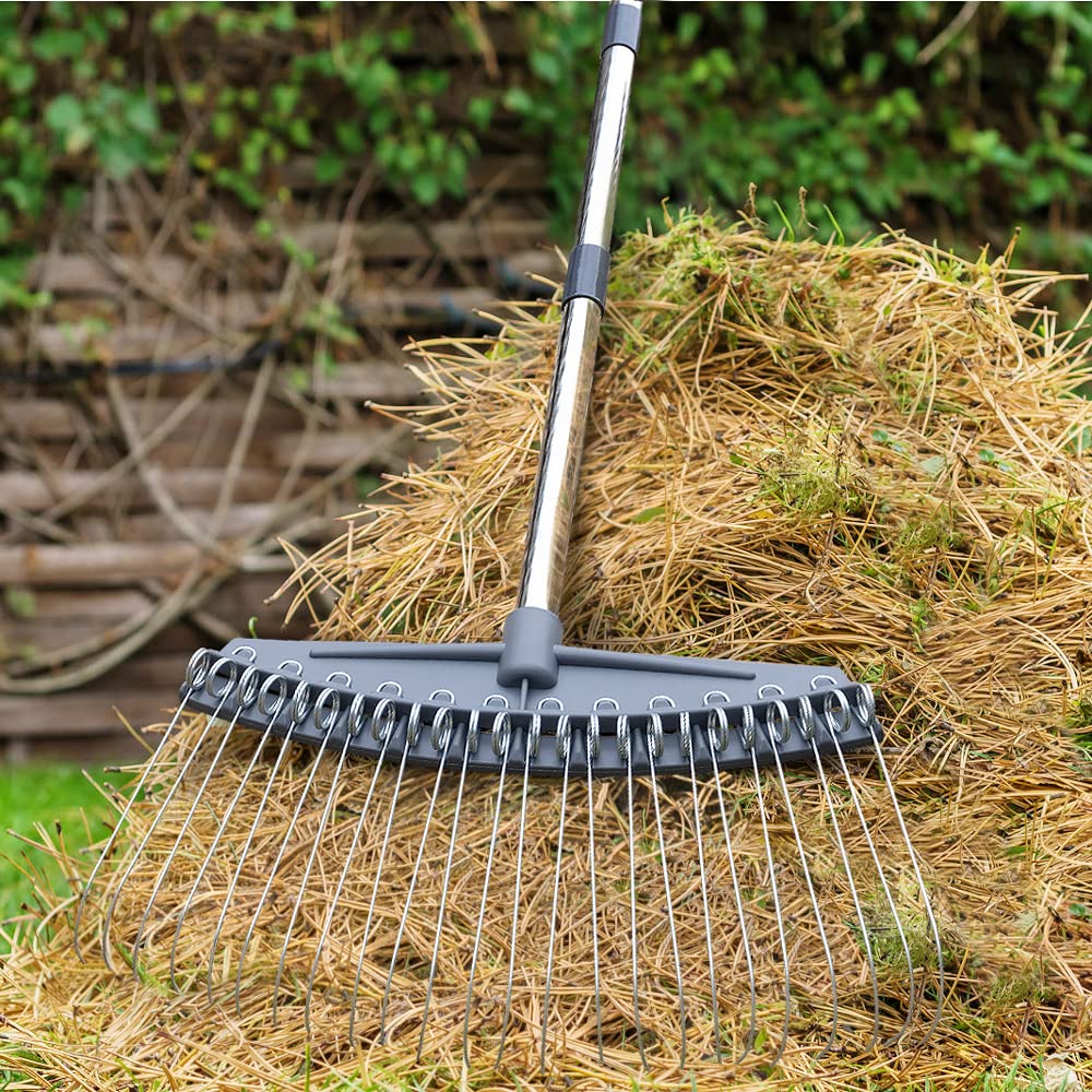Colwelt Thatch Rake -24 Steel Tines, Thatch Rakes for Lawns with 137cm Lightweight Stainless Steel Handle, Yard Dethatching Rakes for Your Lawn(Thatch, Dead Grass, Leaves, Mulch, Pine Needles)