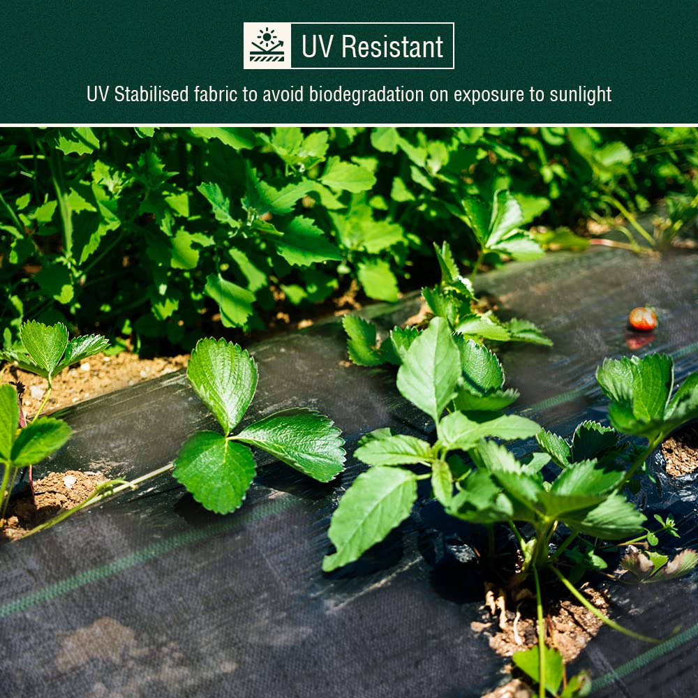 ANSIO Weed Membrane, Weed Control Membrane 2Mx10M, Weed Control Fabric,Ground cover, UV stabilised Weed Barrier Fabric. Ideal for use in Patios, Garden, Flower beds, Landscaping -Weed suppressant