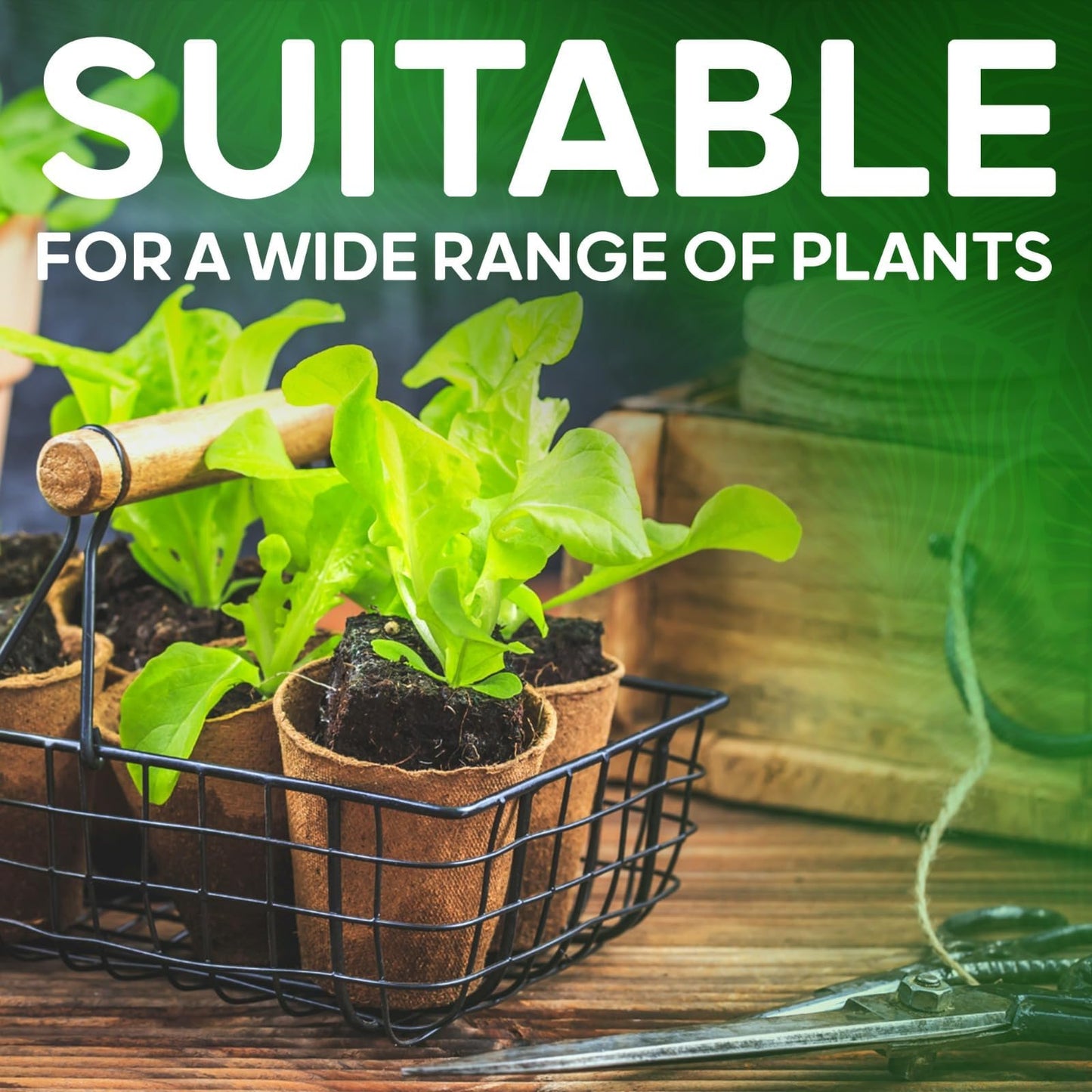 ZYBUX 96 piece Round Fibre Pots for Garden - 6 cm Wide Biodegradable Small Plant Pots for Seedling - Cultivation Gardening Seeding Cups Containers - Nursery Pots