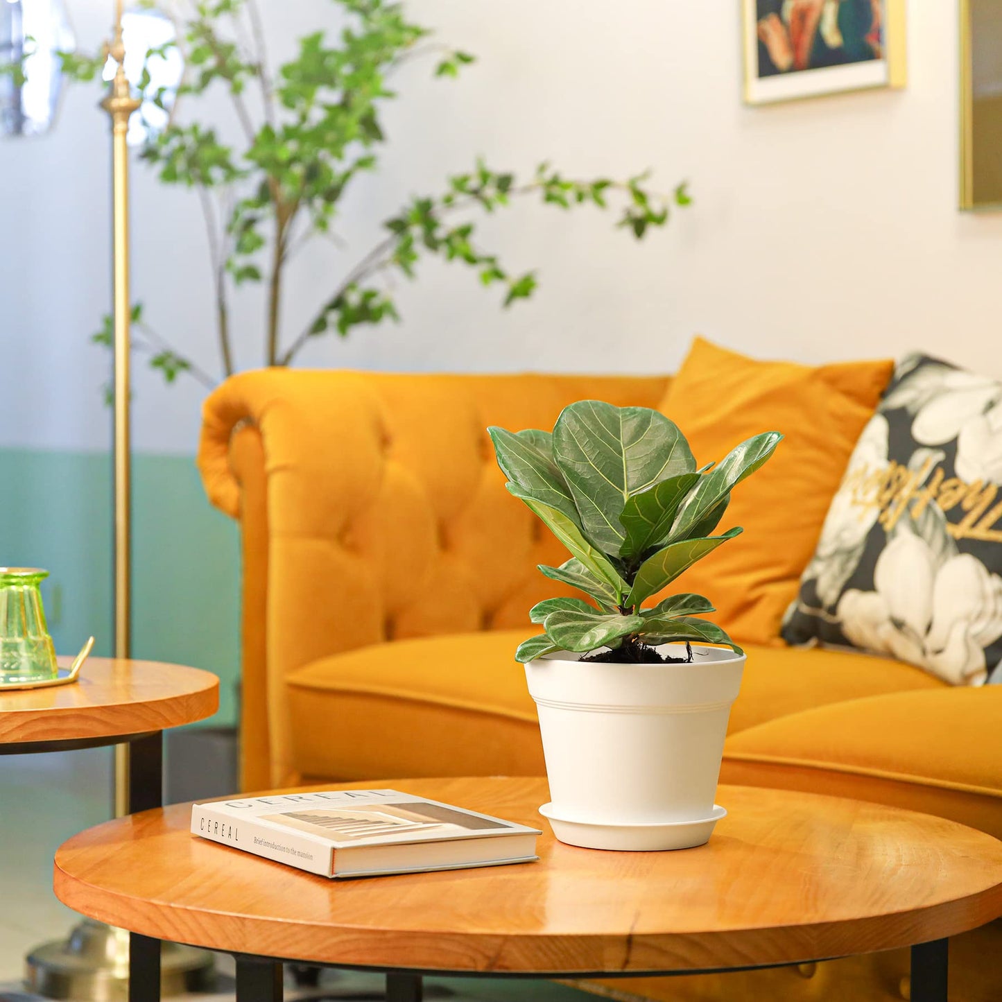 T4U 17.5CM Plastic Plant Pots 6-Pack, Large Flower Planter with Drainage Hole and Saucer, Classic Indoor Outdoor White Plant Pots for Orchid, Penoy, Rose, Snake Plant, Aloe, Tulips, Peace Lily