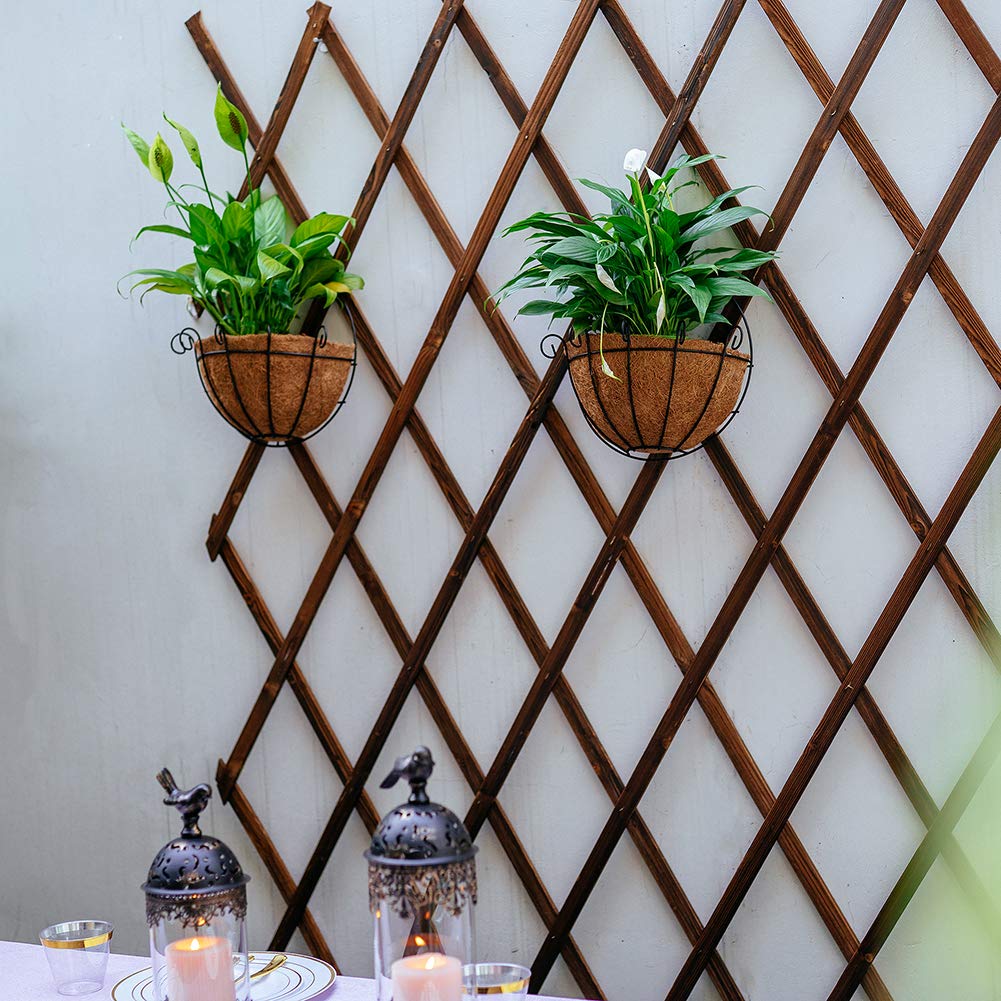 NUPTIO 2 Pcs Wall Planter Outdoor Hanging Wall Planters Wire Artificial Hanging Baskets for Plants Outdoor Hanging Pots for Plants with Hanging Basket Liner, Flower Pot Hanger Hanging Basket Holder