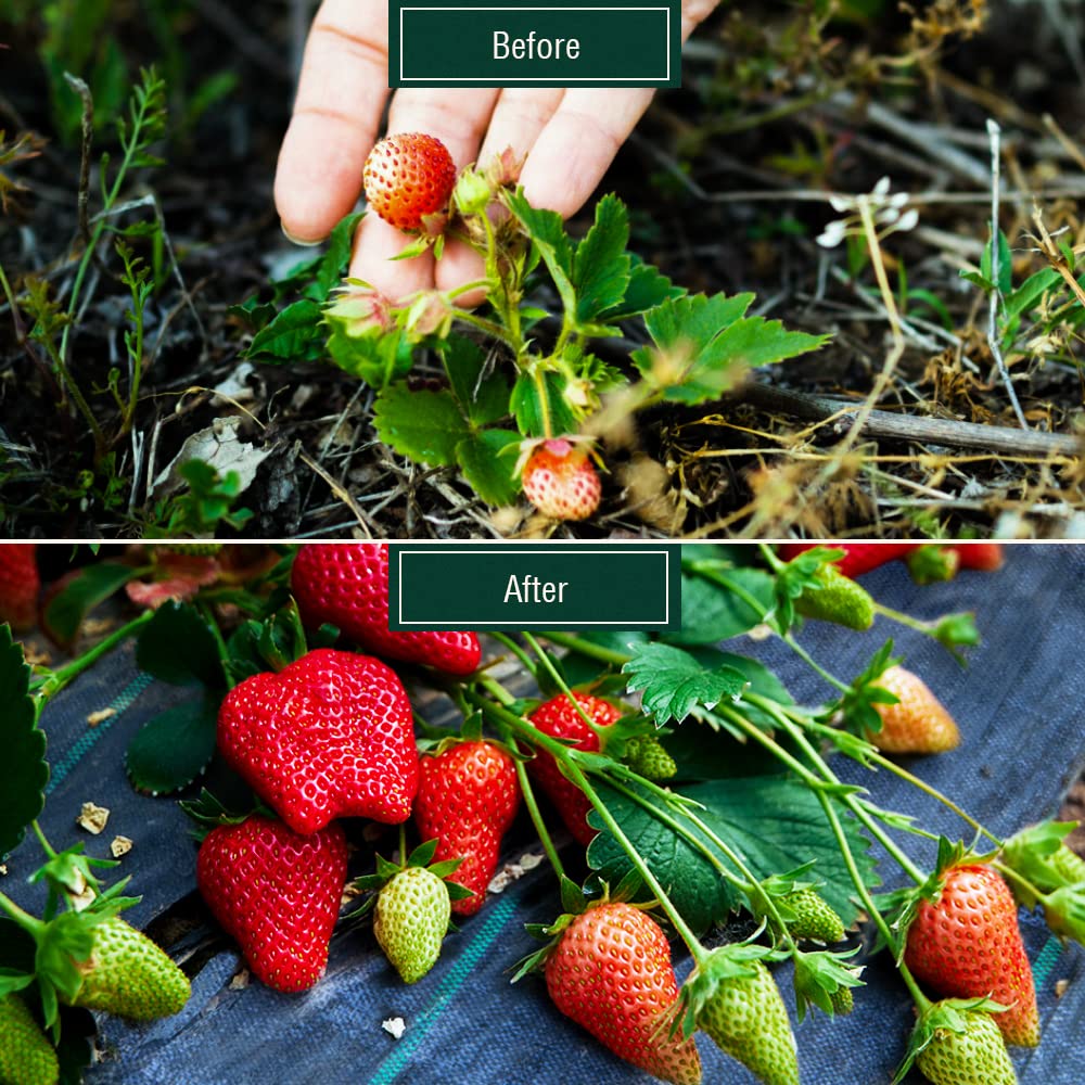 ANSIO Weed Membrane, Weed Control Membrane 2Mx10M, Weed Control Fabric,Ground cover, UV stabilised Weed Barrier Fabric. Ideal for use in Patios, Garden, Flower beds, Landscaping -Weed suppressant