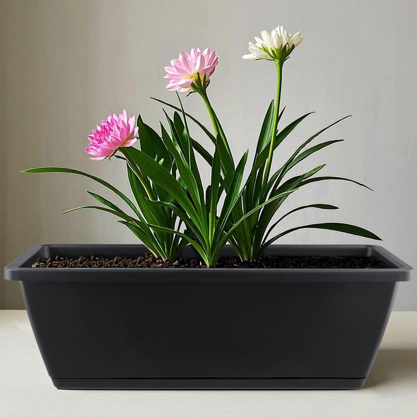 MUKSEUT 8PCS 17 Inch Black Window Boxes with Drainage Holes and Trays, Resin Flower Window Box Planter, Rectangle Planters for Windowsill, Patio, Garden, Home Decor, Porch Yard