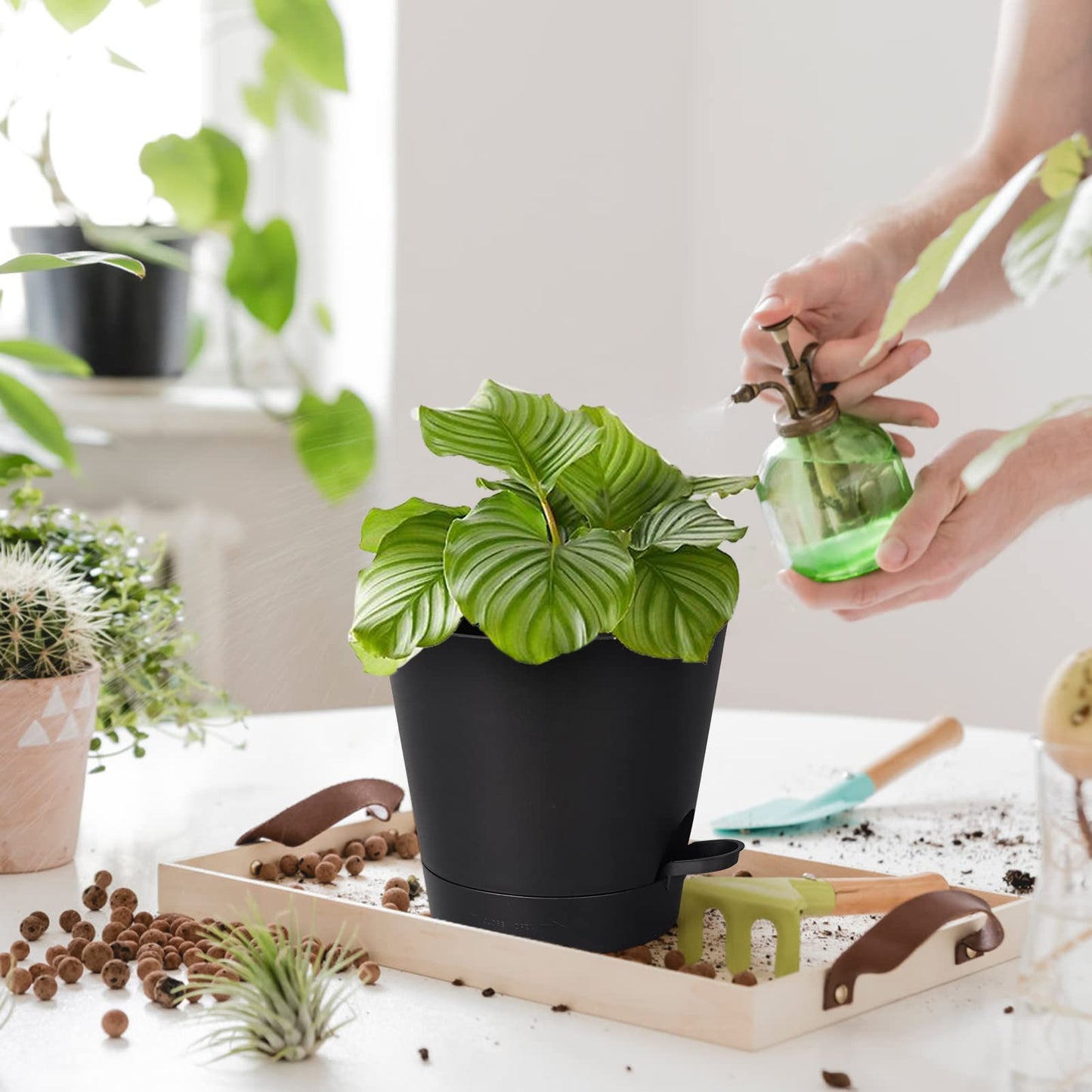 PETAFLOP Plastic Plant Pots 20cm Indoor, 6 Pack 8 Inch Self Watering Plant Pot with Drainage Hole, Saucers, Absorbent Rope and Watering Lip for House Plants, Black