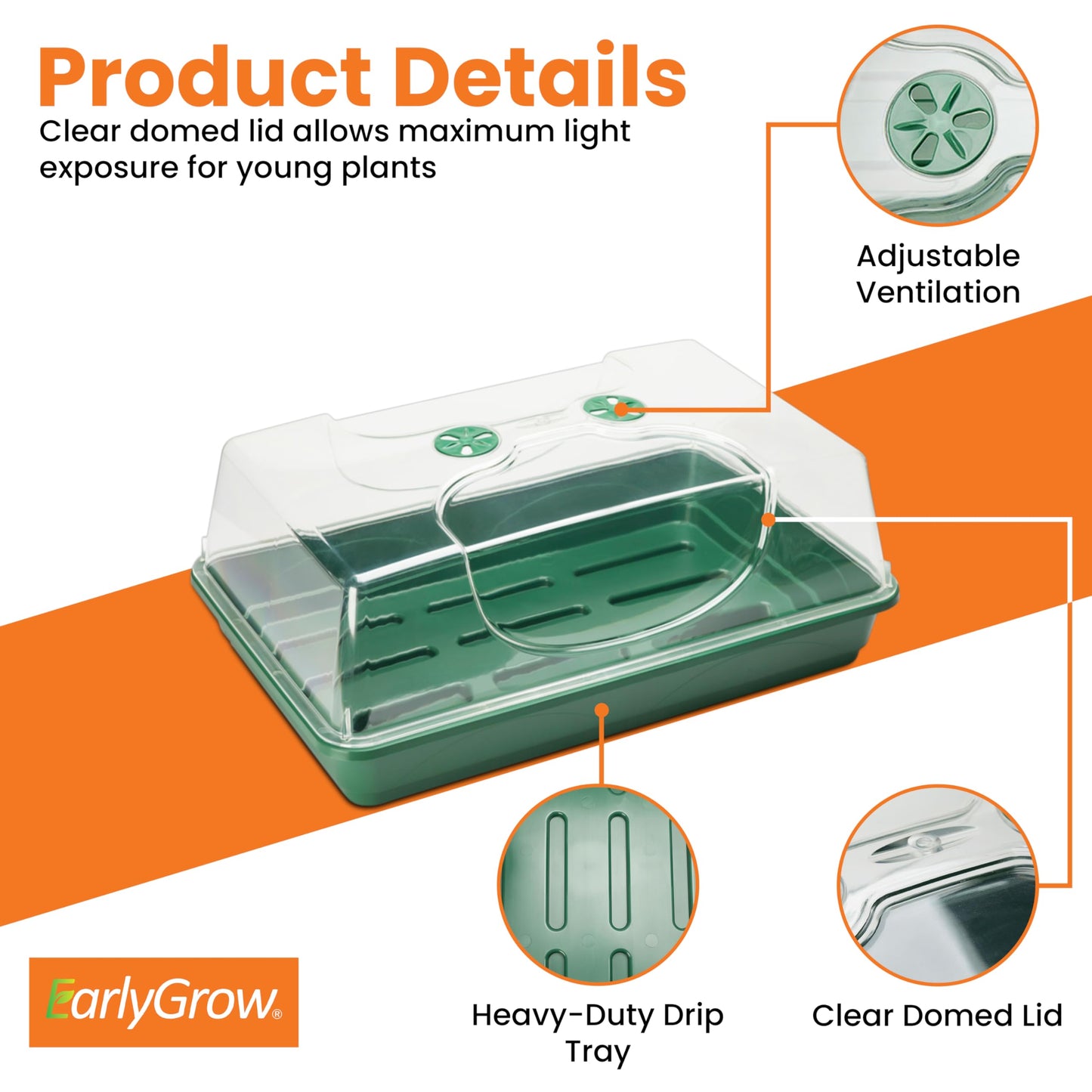 EarlyGrow MPL50030/P Large Propagator with Shatterproof Lid 58 x 38 x 26 Centimetres - Green