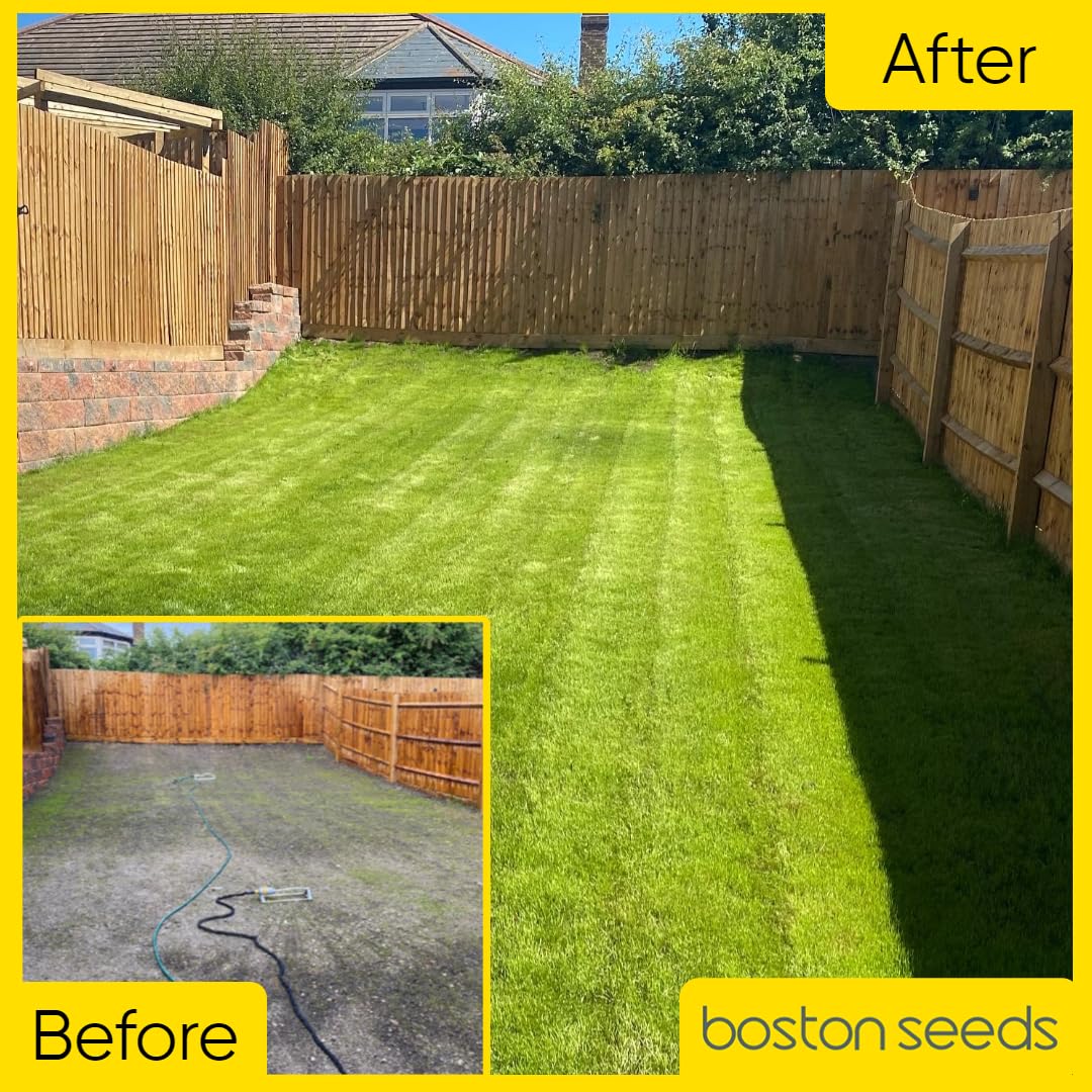 Boston Seeds Fast Growing Grass Seed - Hard Wearing Grass Seeds in Various Weights. Rapid Germination Seeds for Lawns & Landscapes (Eco - 20Kilogram)