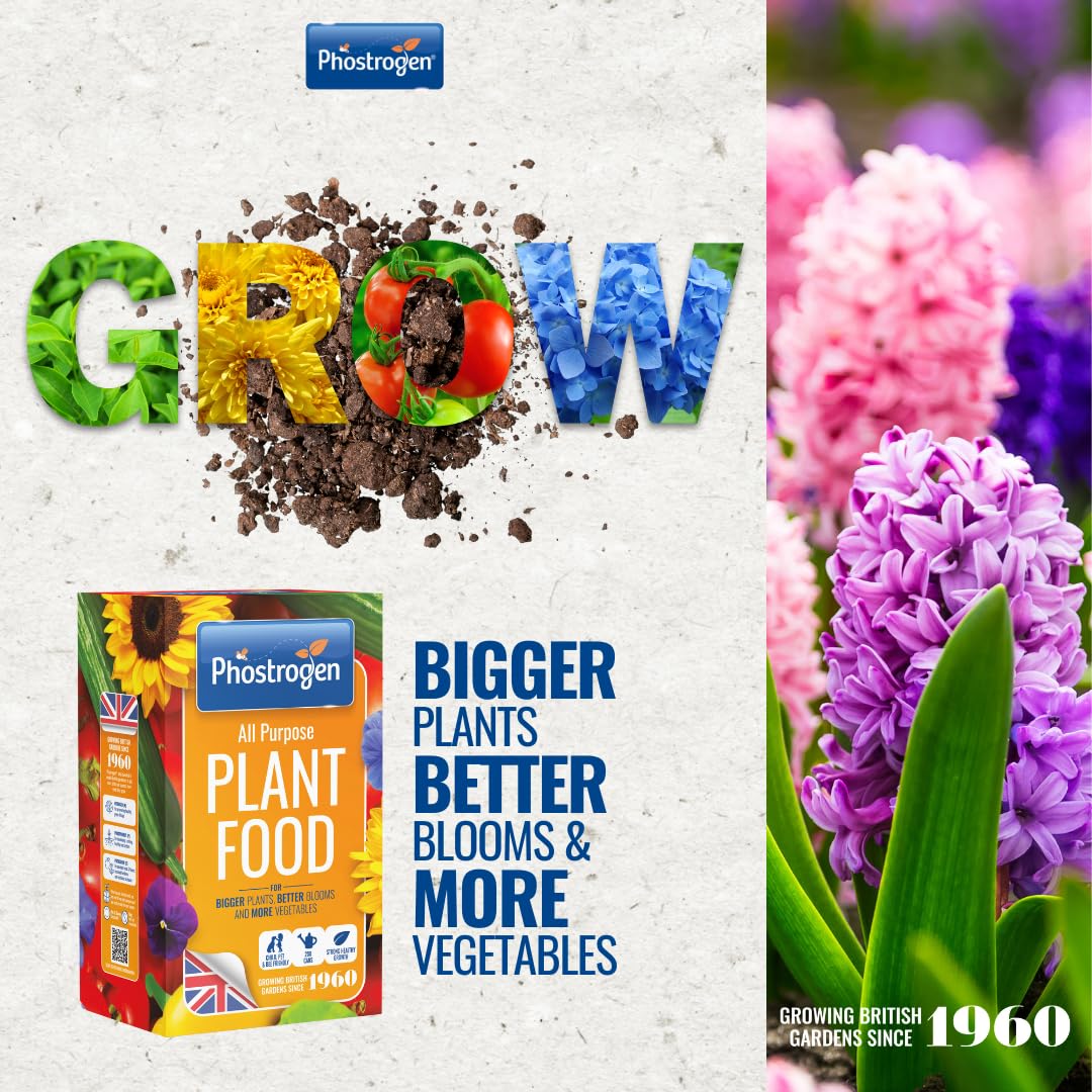 Phostrogen All Purpose Plant Food, 2kg - Plant and Edibles Fertiliser Feed - for Promoting Healthy Growth - Improves Drought Resistance - Plant Nutrition - Indoor and Garden Use