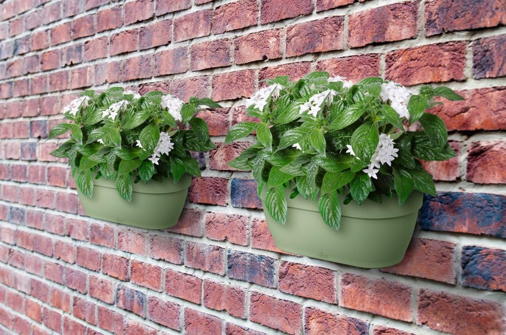 elho Vibia Campana Wall Basket 35 - Planter for Balcony & Outdoor - Ø 35.0 x H 14.8 cm - Green/Pistachio Green