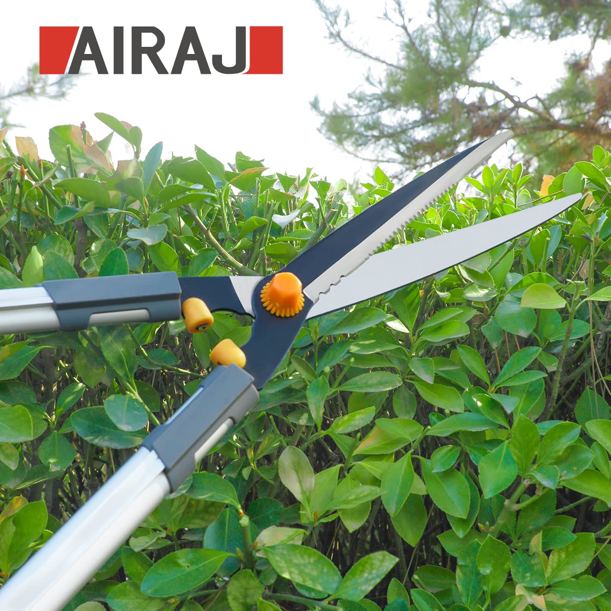 AIRAJ Lightweight Hedge Shears(600mm),with Ergonomic Lightweight Anti-Slip Handles and Razor-Sharp Blades,Professional Garden Shears for Hedges, Shrubs and Bushes - Easy Cutting and Trimming