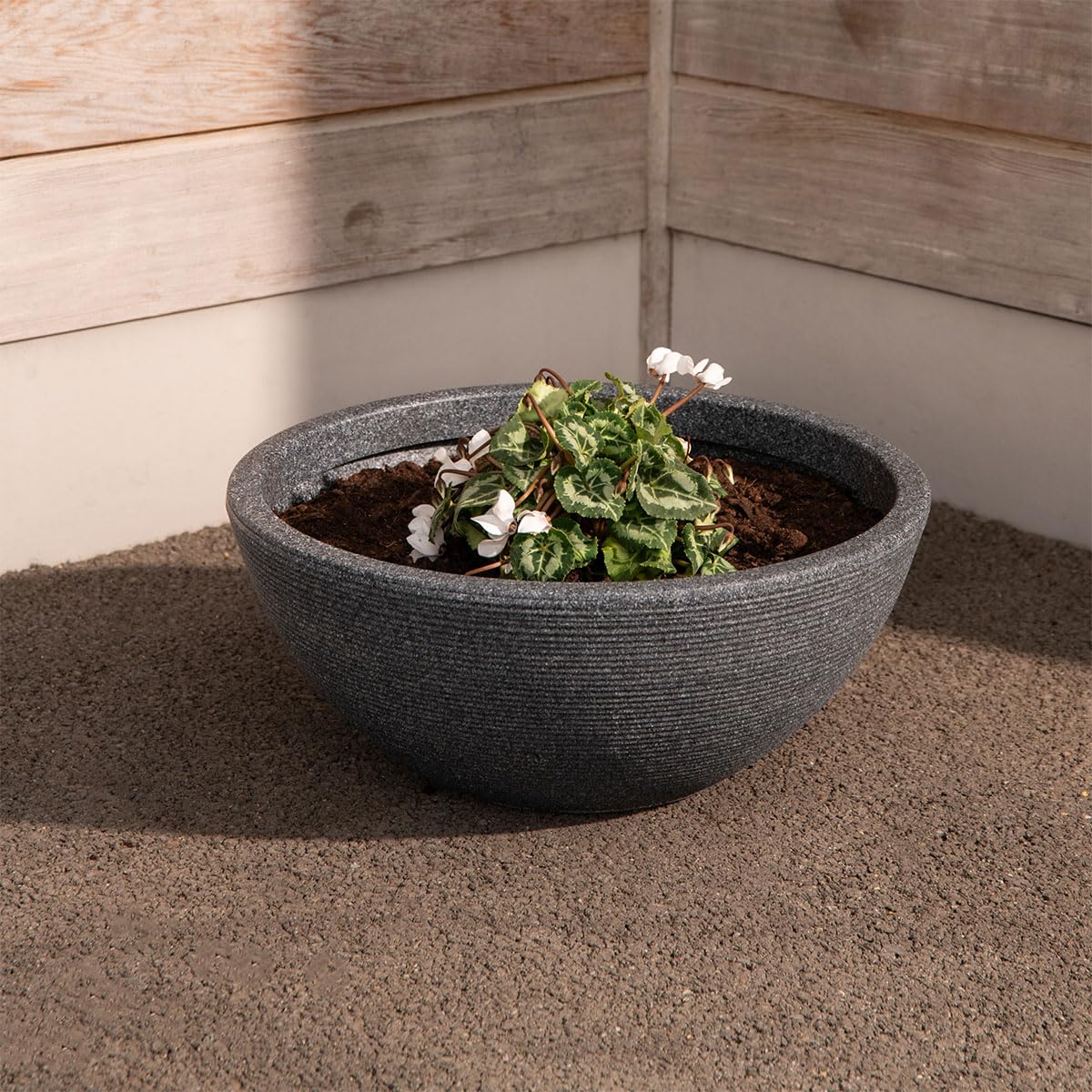 Strata Small Valencia Planter Bowl (Ash)