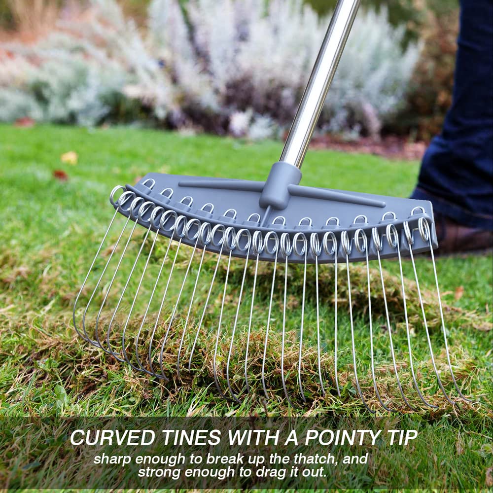 Colwelt Thatch Rake -24 Steel Tines, Thatch Rakes for Lawns with 137cm Lightweight Stainless Steel Handle, Yard Dethatching Rakes for Your Lawn(Thatch, Dead Grass, Leaves, Mulch, Pine Needles)