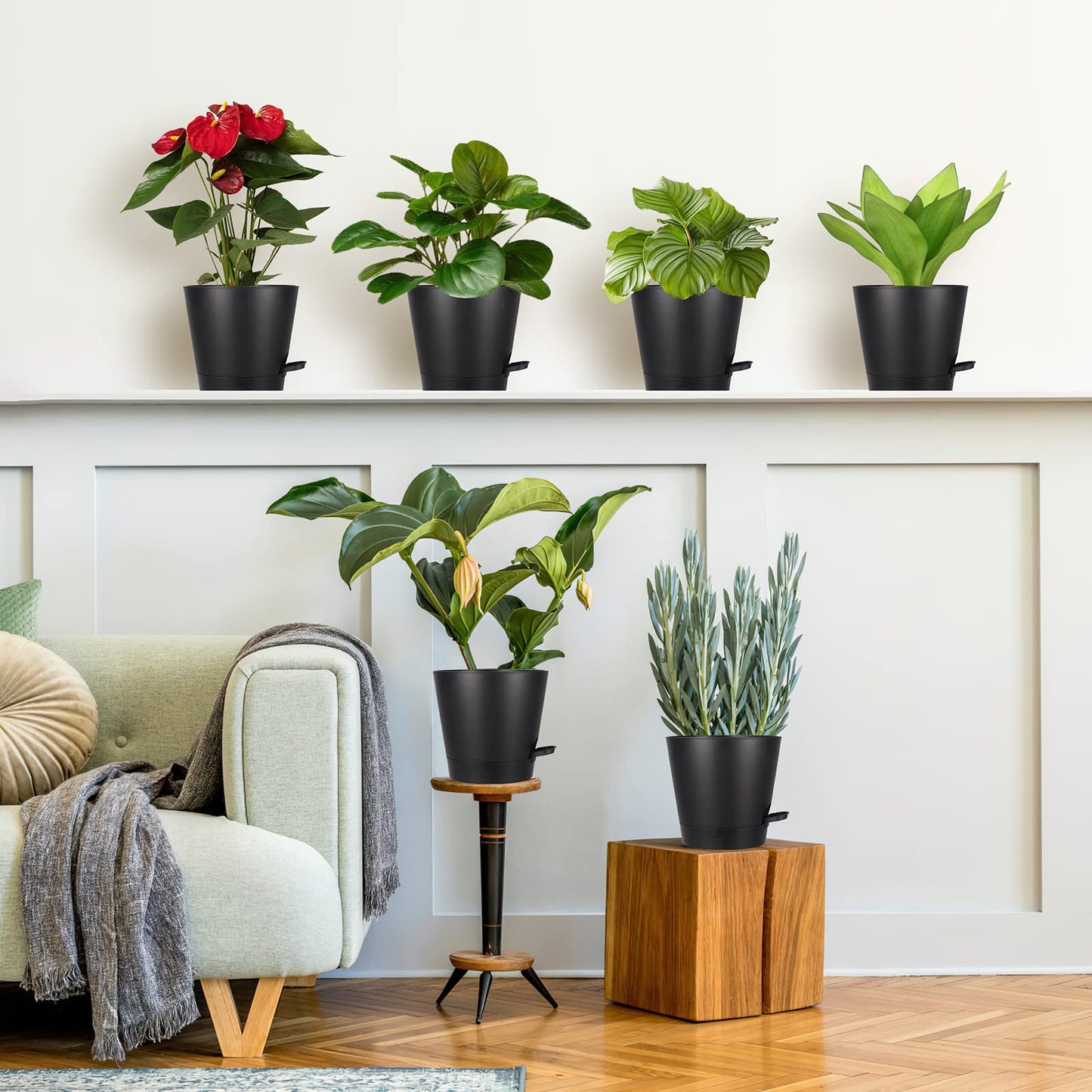 PETAFLOP Plastic Plant Pots 20cm Indoor, 6 Pack 8 Inch Self Watering Plant Pot with Drainage Hole, Saucers, Absorbent Rope and Watering Lip for House Plants, Black