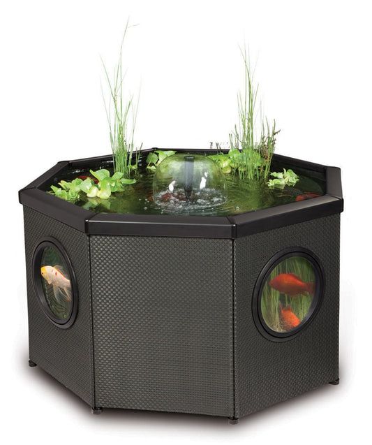 Blagdon Affinity Octagon Living Water Feature Patio Pool Pond, Mocha, with Inpond 5-in-1 3000 Filter Pump & UV Clarifier, LED Spotlight, 3 Attractive Fountain Heads, 1 Planting Basket - Medium, Black