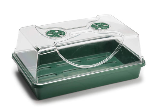 EarlyGrow MPL50031/P Medium Propagator with Shatter Resistant Lid for Seed Germination and Plant Growth - 38x24x18 Centimetres - Green