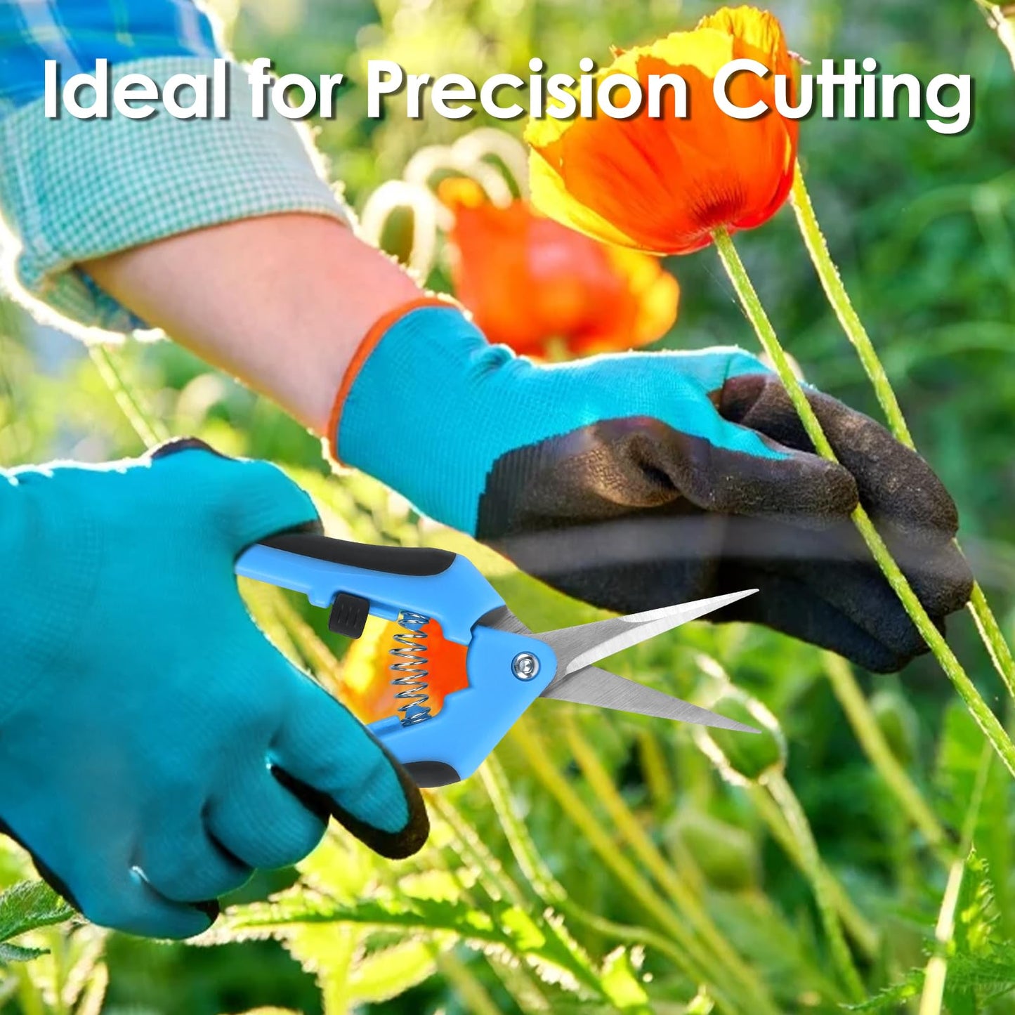 QMLING 3PCS Pruning Shears, Pruning Scissors with Locking Handle, Professional Trimming Scissors, Stainless Steel Pruners for Gardening (16.5 cm Green Orange Blue)