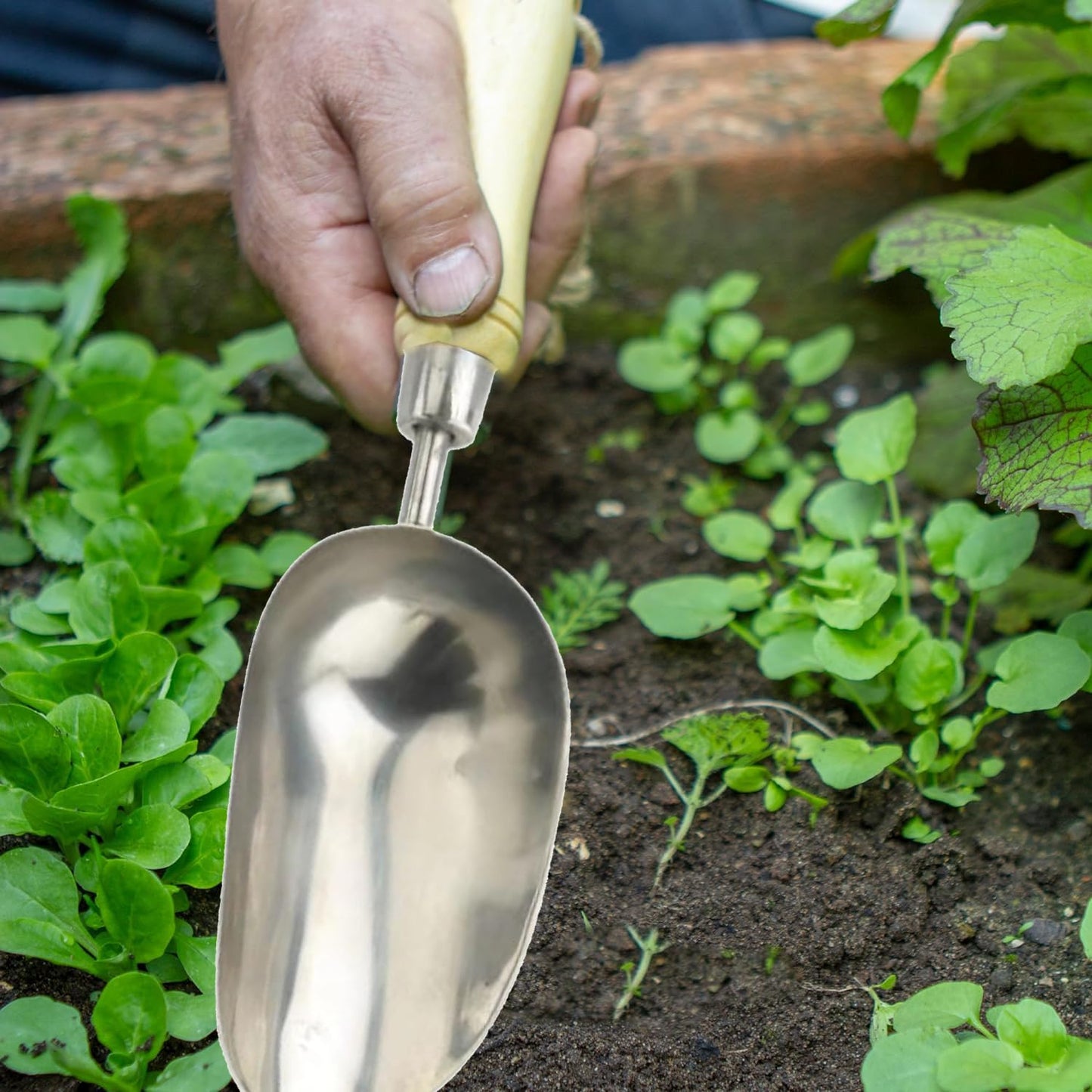 Hand Trowel,WDAOcheng Compost Scoop,Stainless Steel Garden Trowel,Soil Scoop for Weeding, Transplanting and Digging in Garden