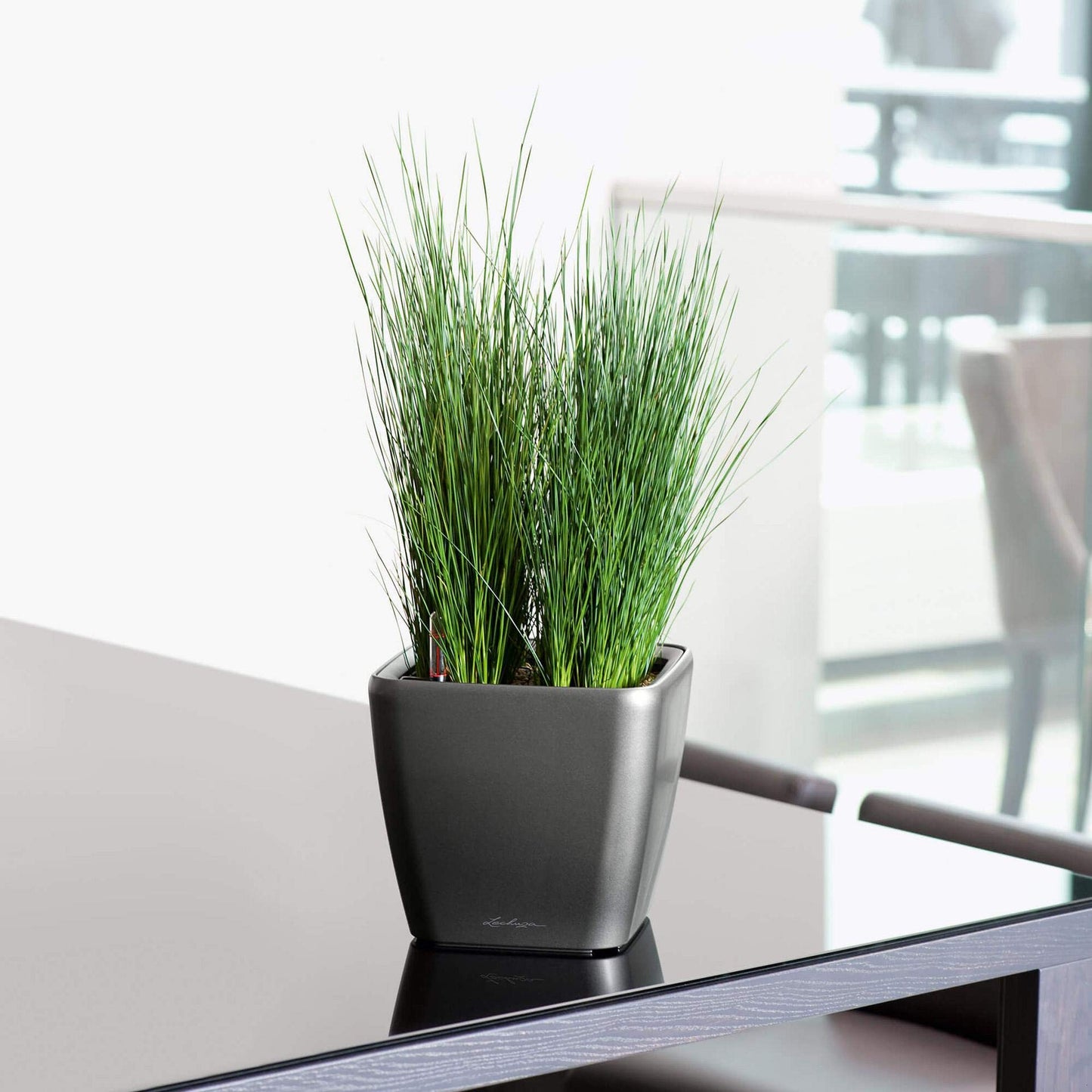 Lechuza Self Watering Plant Pot QUADRO LS 21 Garden Flower Indoor and Outdoor Plastic Small Planter with Drainage Hole H20 L21 W21 cm White High-Gloss