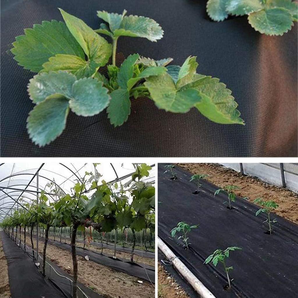 ASOENTIWOX Weed Control Membrane 1 X 10M, Garden Membrane Weed Control Fabric, Weed Suppressant Membrane, Heavy Duty Eear Resistance Weed Barrier Fabric, UV stabilised for long term use