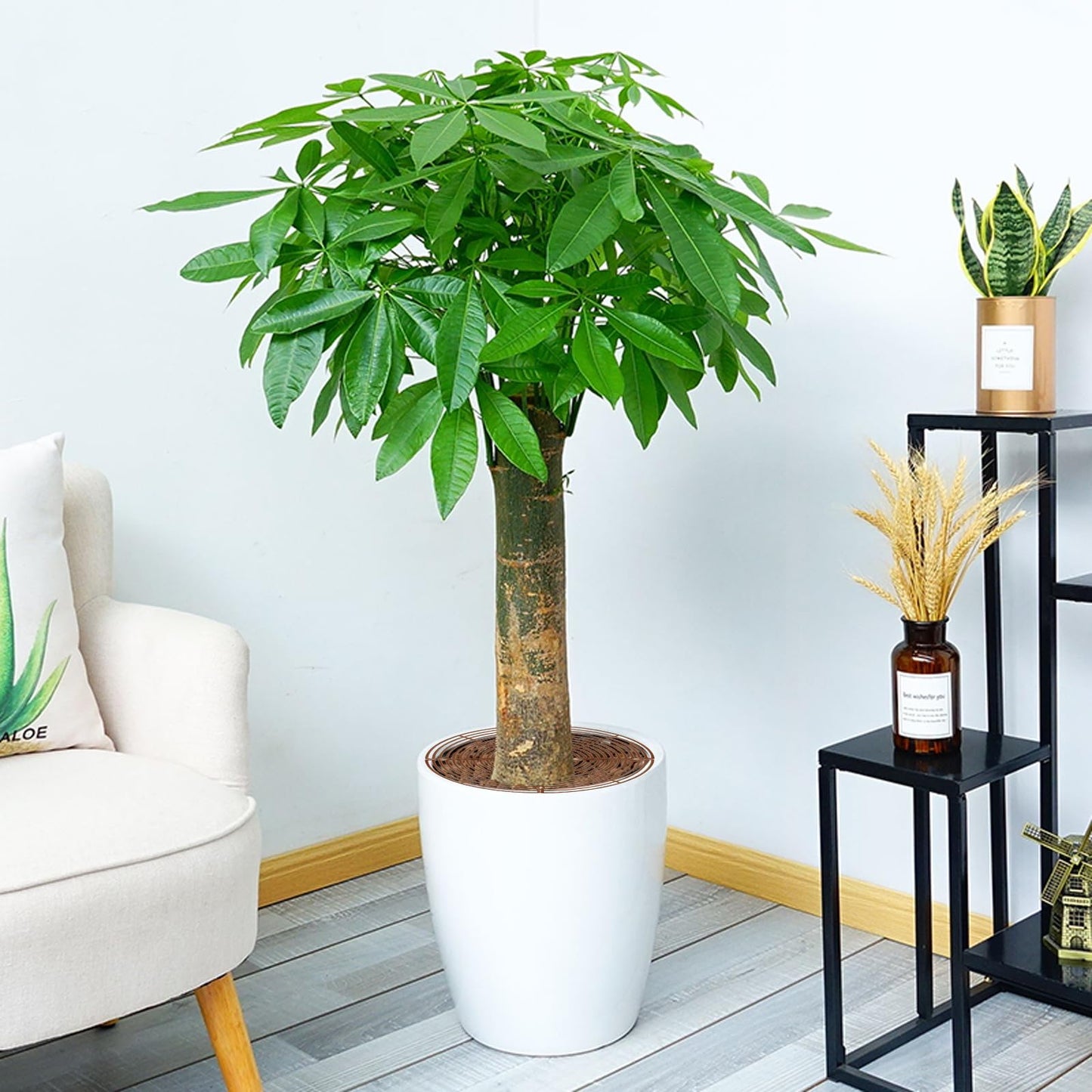 4 Pcs Plant Pot Grid Plant Pot Soil Guard Plant Pot Cover with Deep Stakes Cuttable Flower Pot Soil Cover Protectors Flower Pot Cover Cat Digging Stopper Plant Grid Pot Cover for Indoor Plants