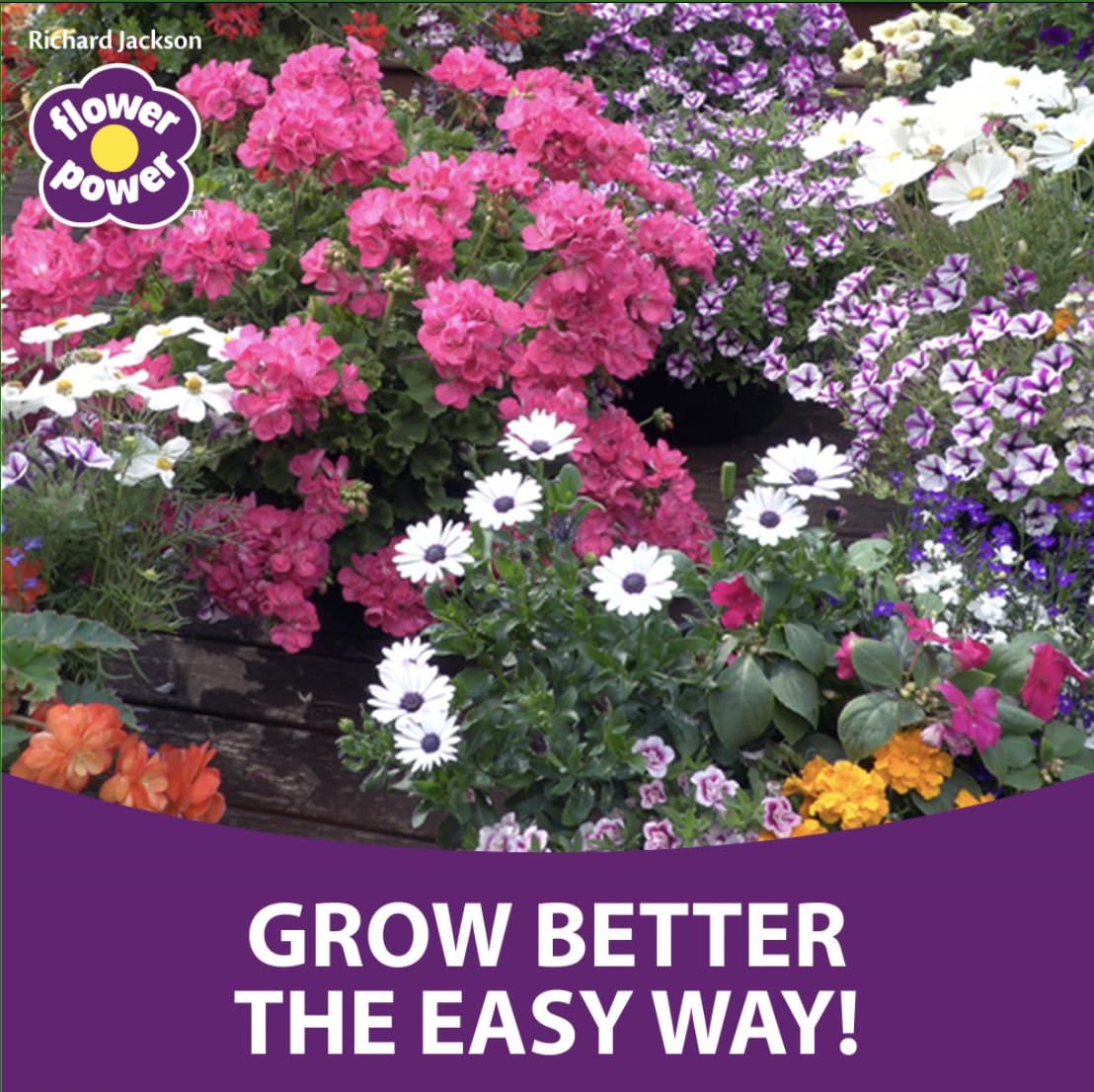 Richard Jackson's Easy Compost Coir Compost Enriched With Long Lasting Fertiliser, 8X 10L Blocks Makes Up To 80L