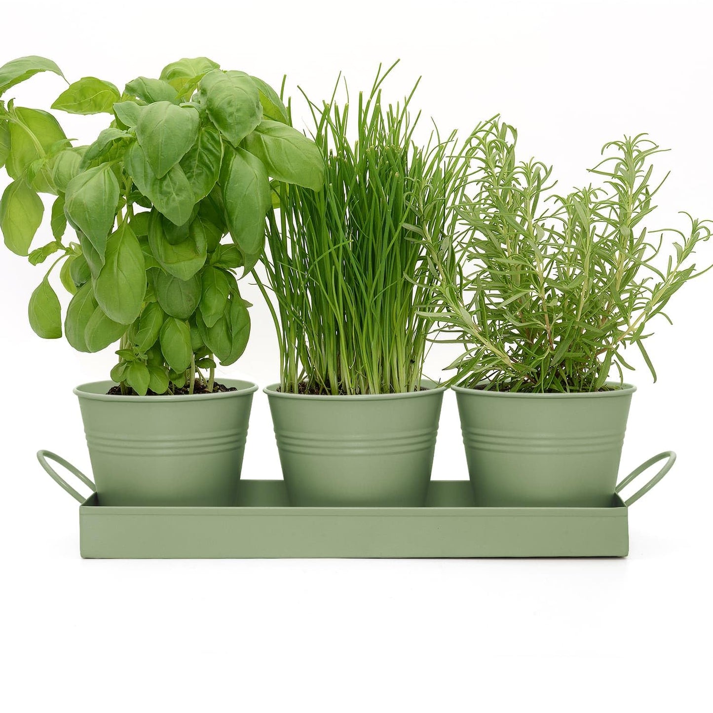 CKB LTD Set of 3 Metal Herb Plant Pots with Drip Tray Traditional Indoor Windowsill Coloured Planter Box for The Kitchen Grow Your Own Herbs for Cooking (Sage Green)