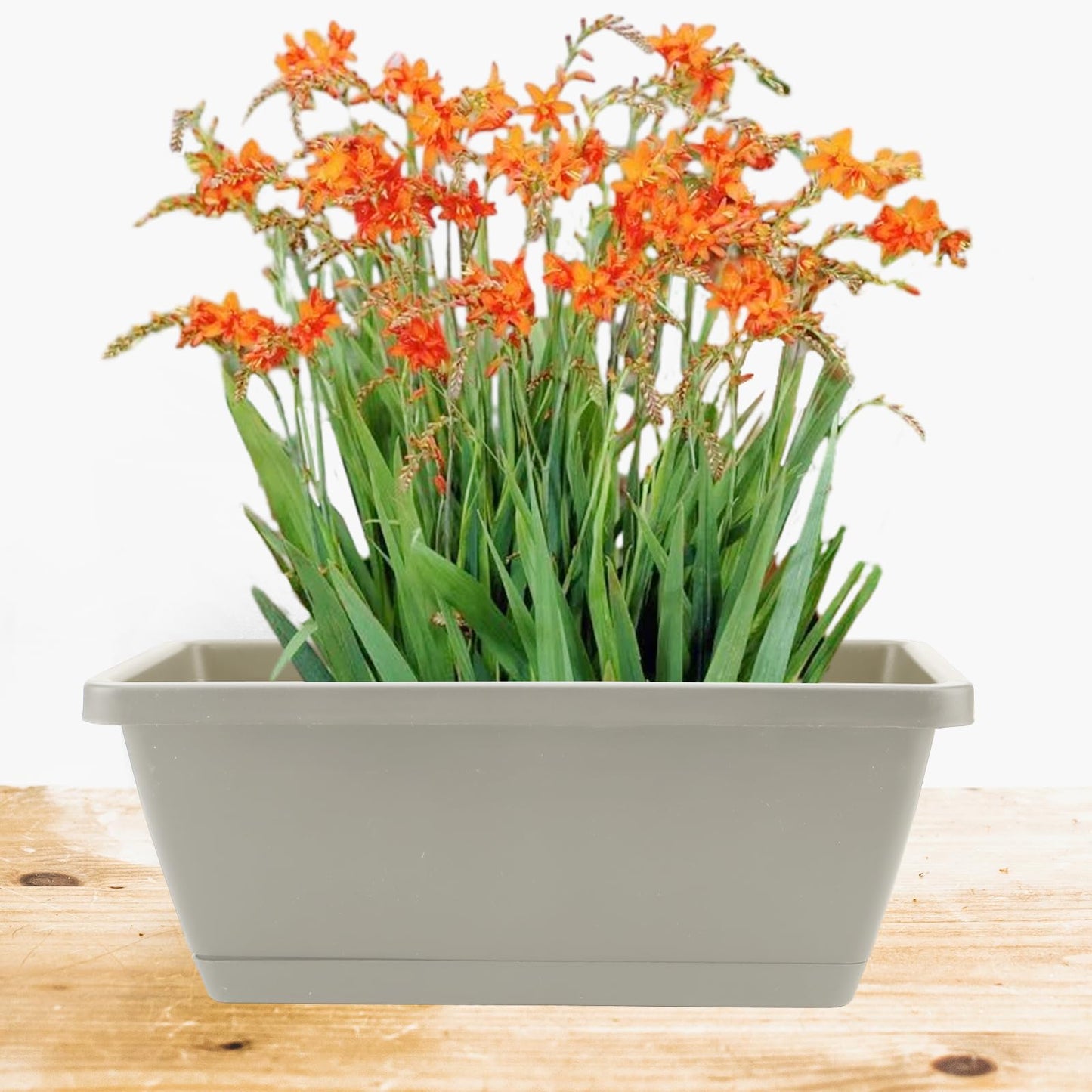 LEXININ 6 PCS 35 x 17 x 14cm Grey Rectangular Window Planter, Plastic Window Boxes with Trays, Flower Box Planter for Garden Patio Home