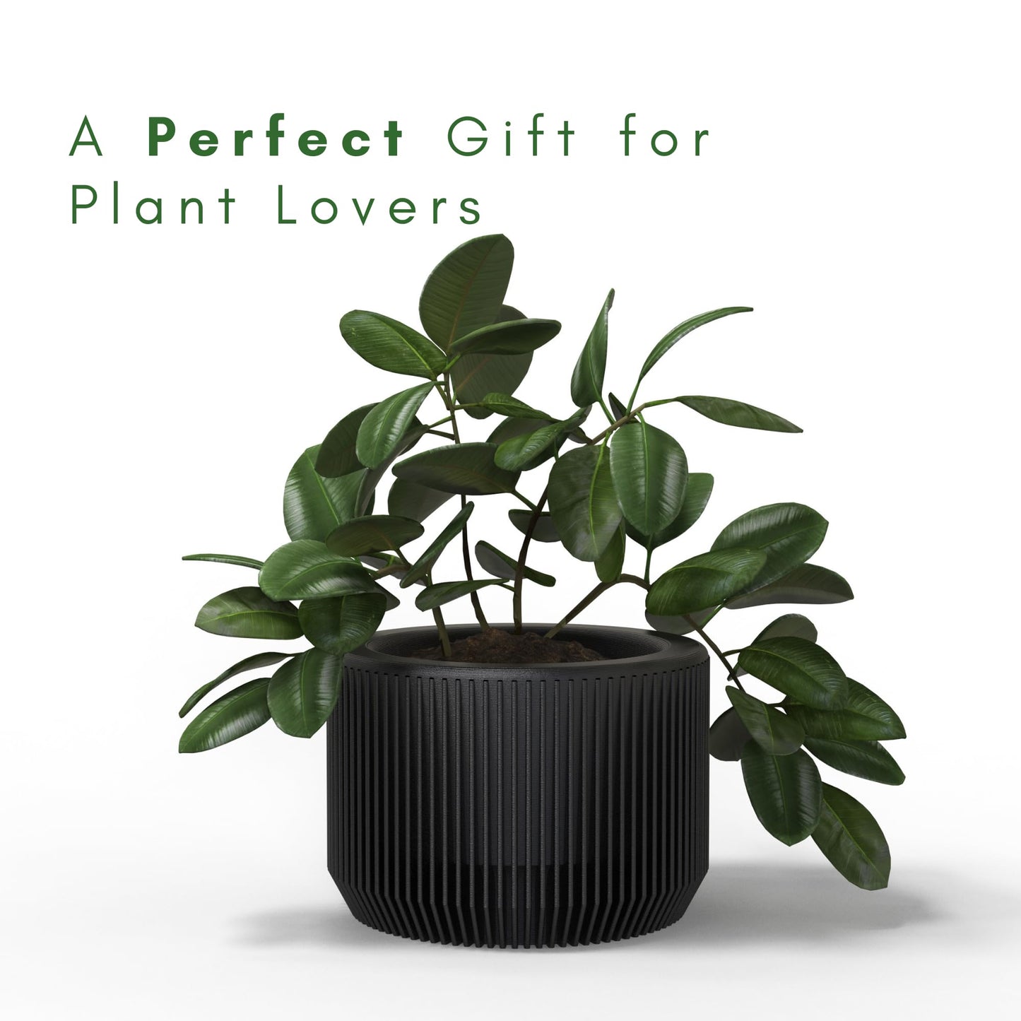 SPACE & Co. PACHA 11cm Small Indoor Planter – Black – Made in UK – Includes Inner Pot for Healthier Plants – Lightweight & Durable Plastic – Modern Round Design (1 Pack)