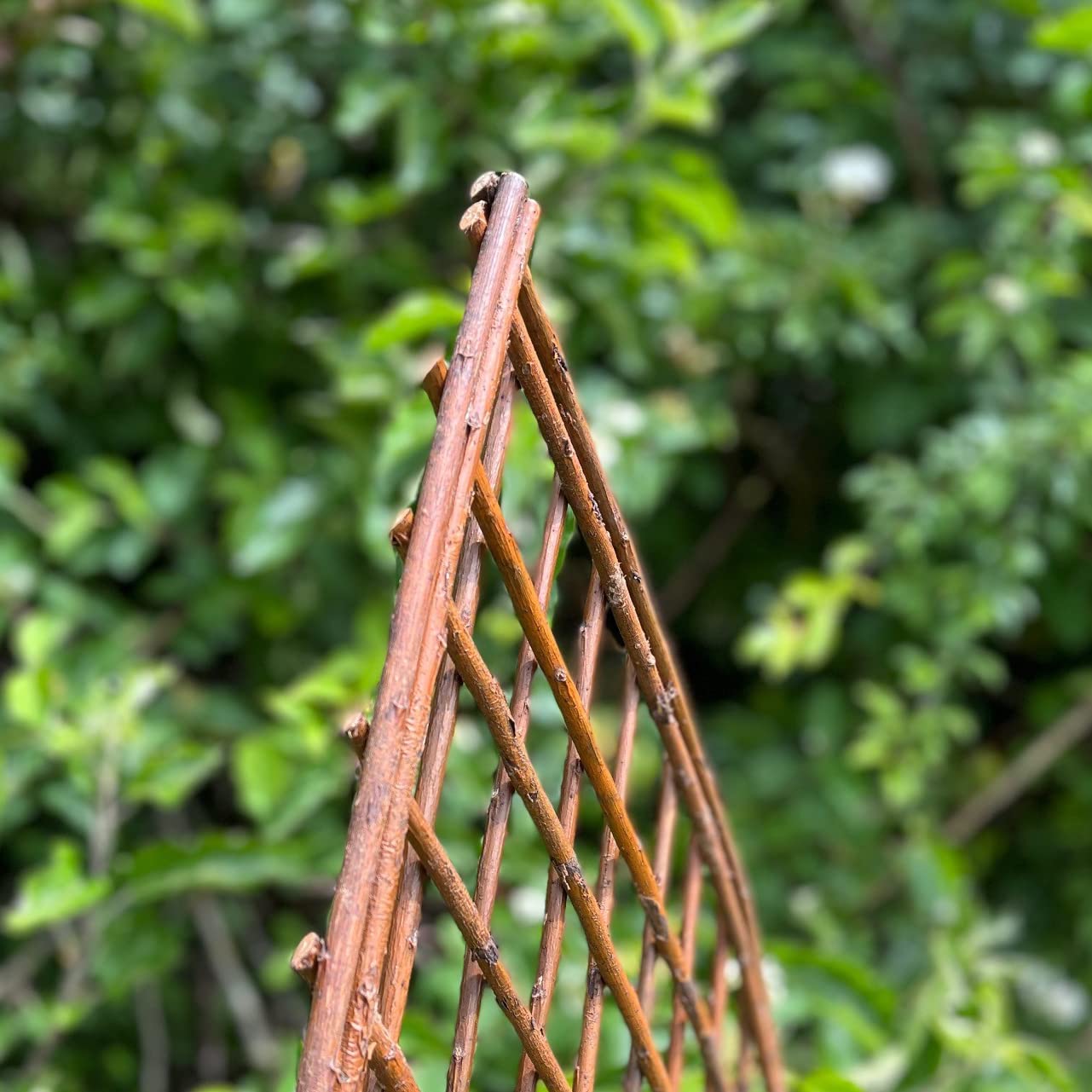 Pack of 3 Selections Willow Lattice Trellis With Gothic Top (120 x 45 Centimeter)